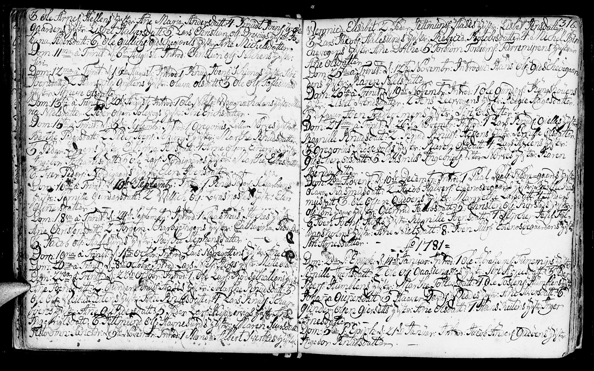 Ministerialprotokoller, klokkerbøker og fødselsregistre - Møre og Romsdal, AV/SAT-A-1454/528/L0393: Parish register (official) no. 528A04, 1762-1800, p. 316