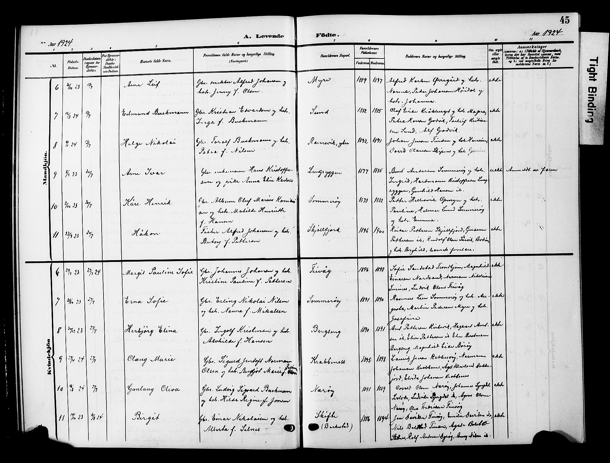 Ministerialprotokoller, klokkerbøker og fødselsregistre - Nordland, AV/SAT-A-1459/893/L1350: Parish register (copy) no. 893C05, 1906-1927, p. 45