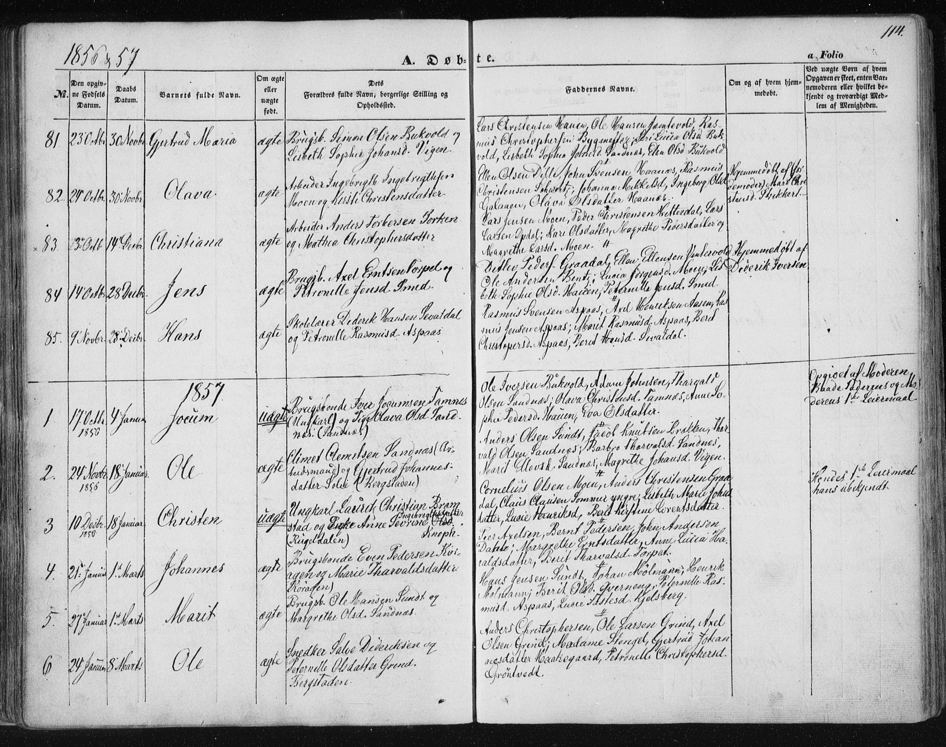 Ministerialprotokoller, klokkerbøker og fødselsregistre - Sør-Trøndelag, SAT/A-1456/681/L0931: Parish register (official) no. 681A09, 1845-1859, p. 114
