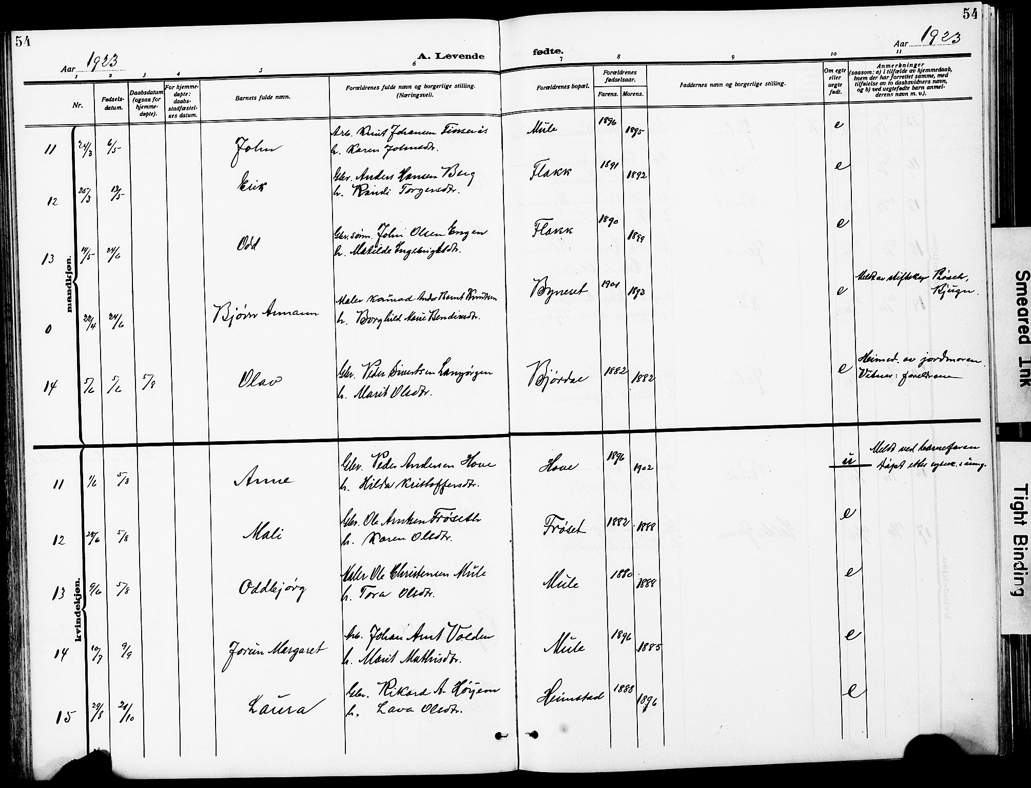 Ministerialprotokoller, klokkerbøker og fødselsregistre - Sør-Trøndelag, AV/SAT-A-1456/612/L0388: Parish register (copy) no. 612C04, 1909-1929, p. 54