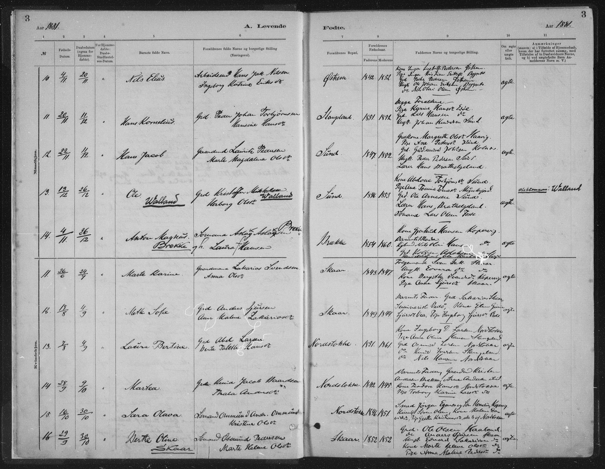 Kopervik sokneprestkontor, AV/SAST-A-101850/H/Ha/Haa/L0002: Parish register (official) no. A 2, 1880-1912, p. 3