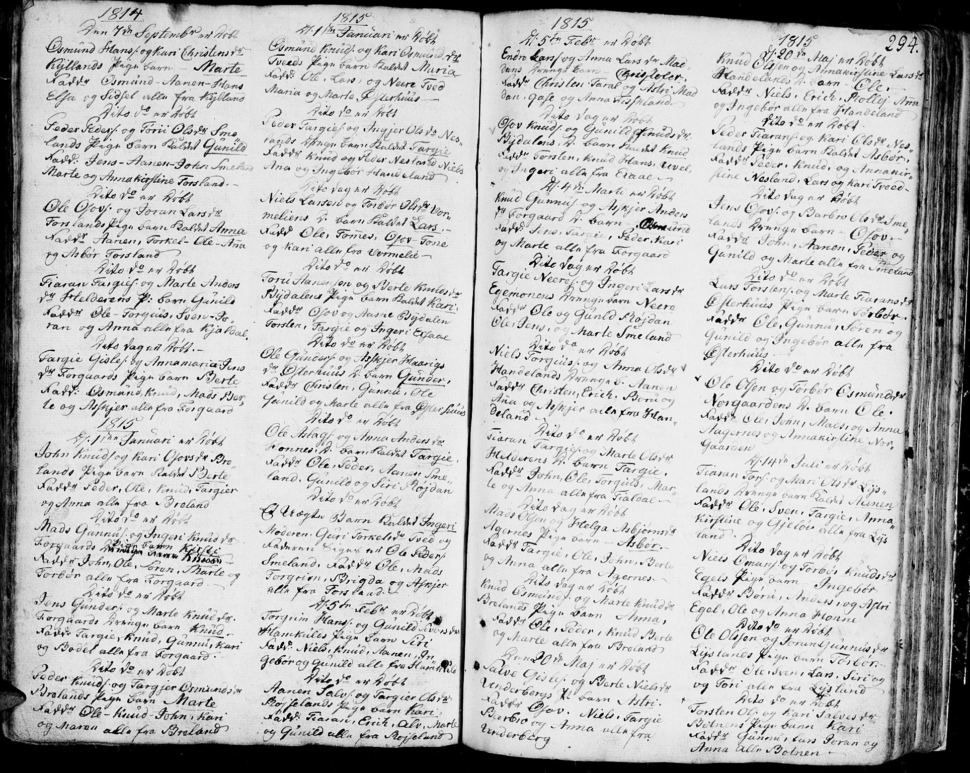 Bjelland sokneprestkontor, SAK/1111-0005/F/Fa/Faa/L0001: Parish register (official) no. A 1 /4, 1793-1815, p. 294