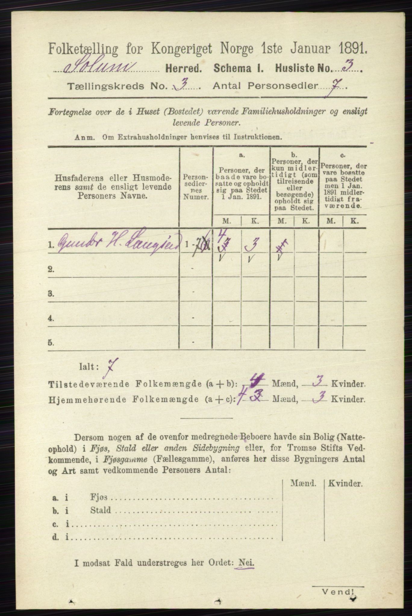 RA, 1891 census for 0818 Solum, 1891, p. 304