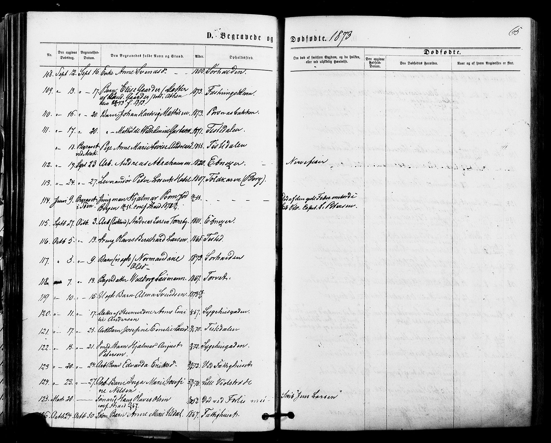 Halden prestekontor Kirkebøker, AV/SAO-A-10909/F/Fa/L0010: Parish register (official) no. I 10, 1866-1877, p. 65