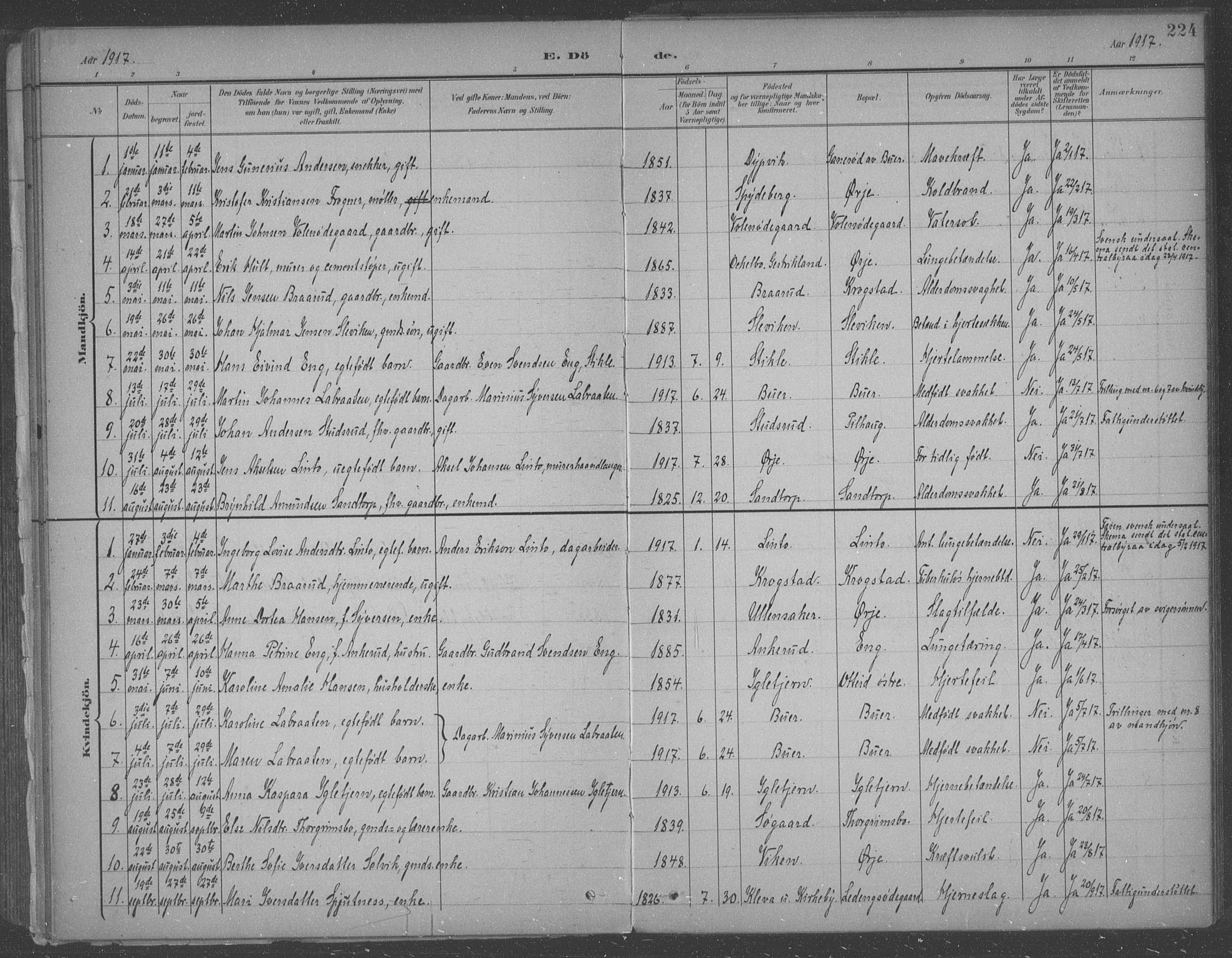Aremark prestekontor Kirkebøker, SAO/A-10899/F/Fb/L0005: Parish register (official) no. II 5, 1895-1919, p. 224