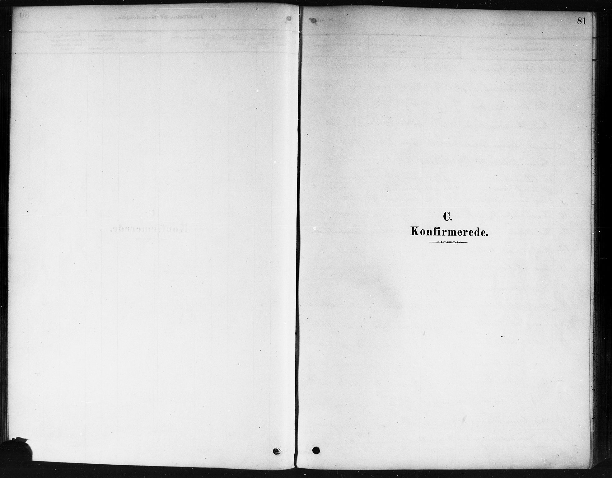 Våler prestekontor Kirkebøker, AV/SAO-A-11083/F/Fa/L0010: Parish register (official) no. I 10, 1878-1896, p. 81