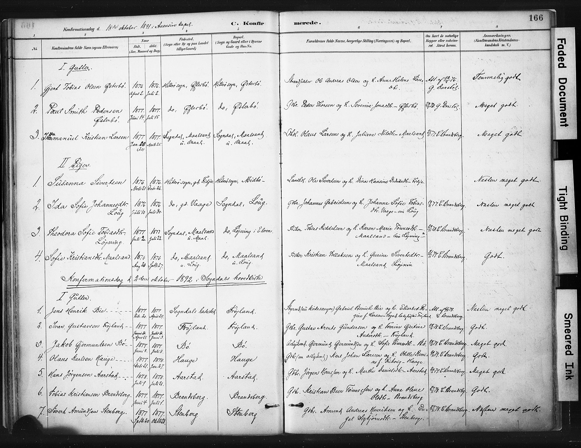 Sokndal sokneprestkontor, AV/SAST-A-101808: Parish register (official) no. A 11.1, 1887-1905, p. 166