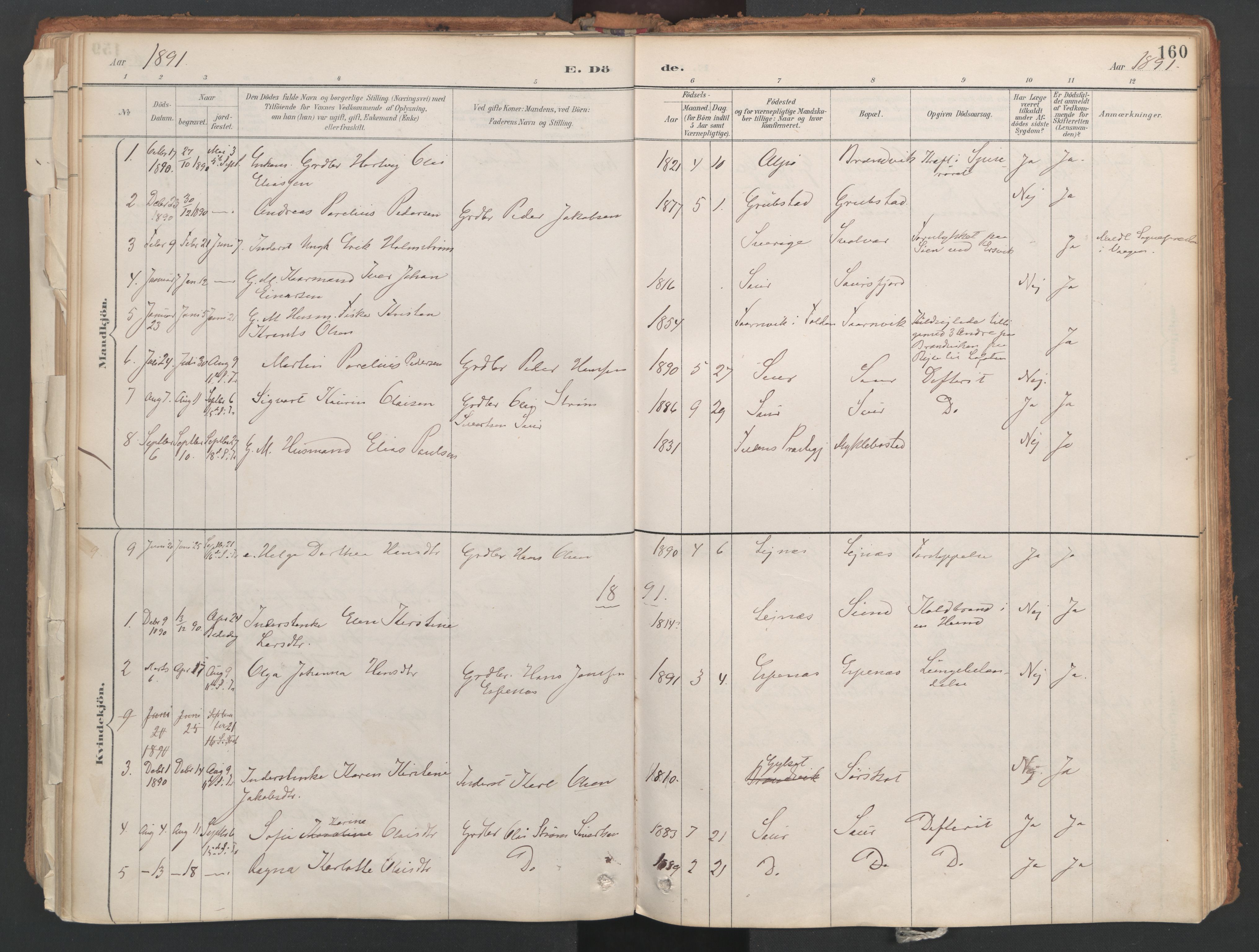 Ministerialprotokoller, klokkerbøker og fødselsregistre - Nordland, AV/SAT-A-1459/857/L0822: Parish register (official) no. 857A02, 1890-1917, p. 160