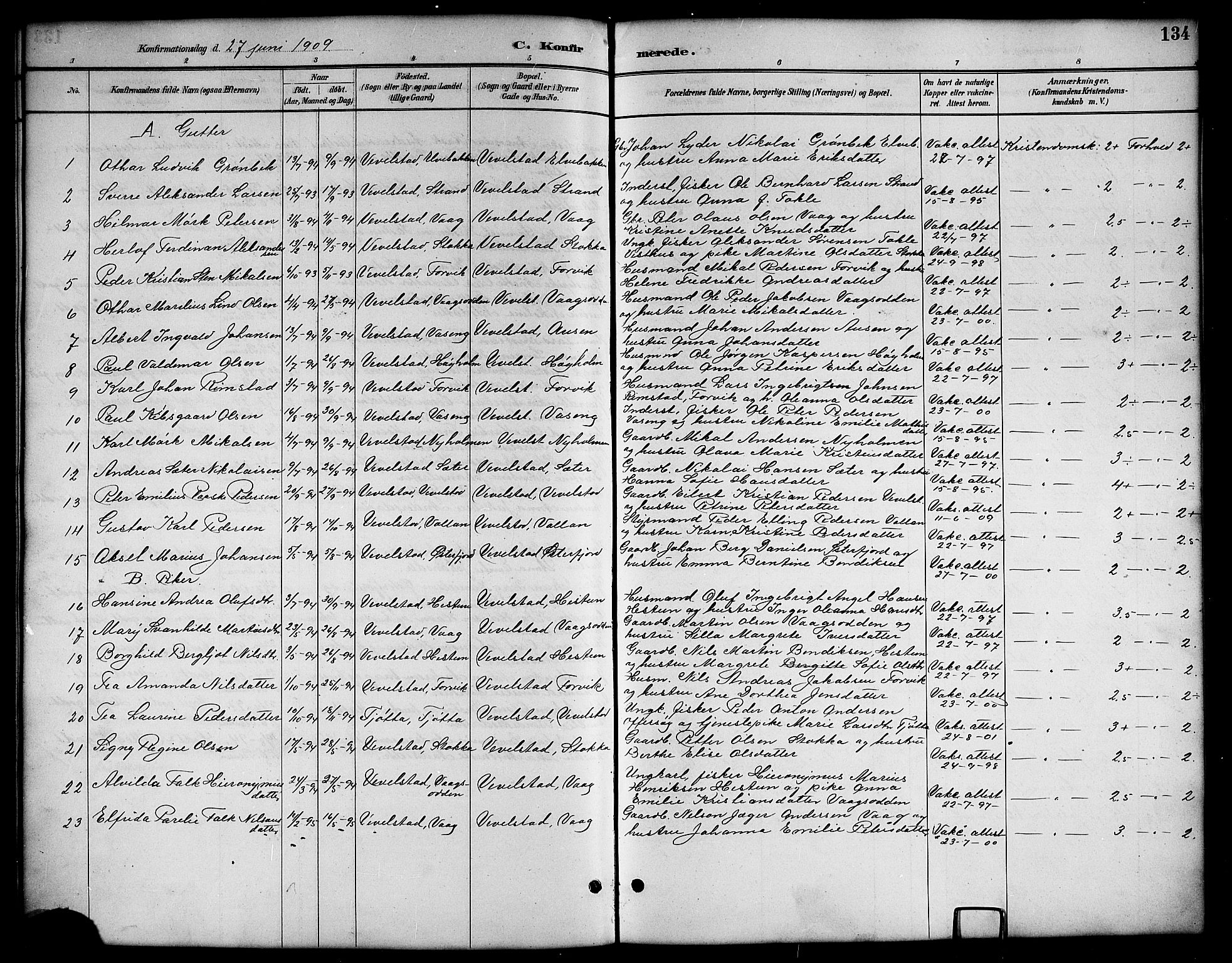 Ministerialprotokoller, klokkerbøker og fødselsregistre - Nordland, SAT/A-1459/819/L0277: Parish register (copy) no. 819C03, 1888-1917, p. 134