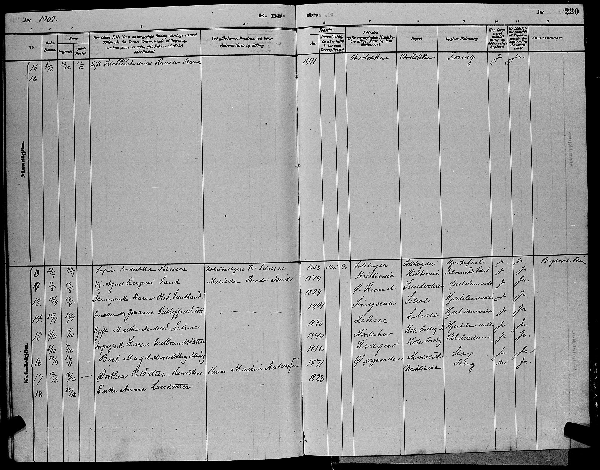 Hole kirkebøker, SAKO/A-228/G/Ga/L0003: Parish register (copy) no. I 3, 1879-1904, p. 220