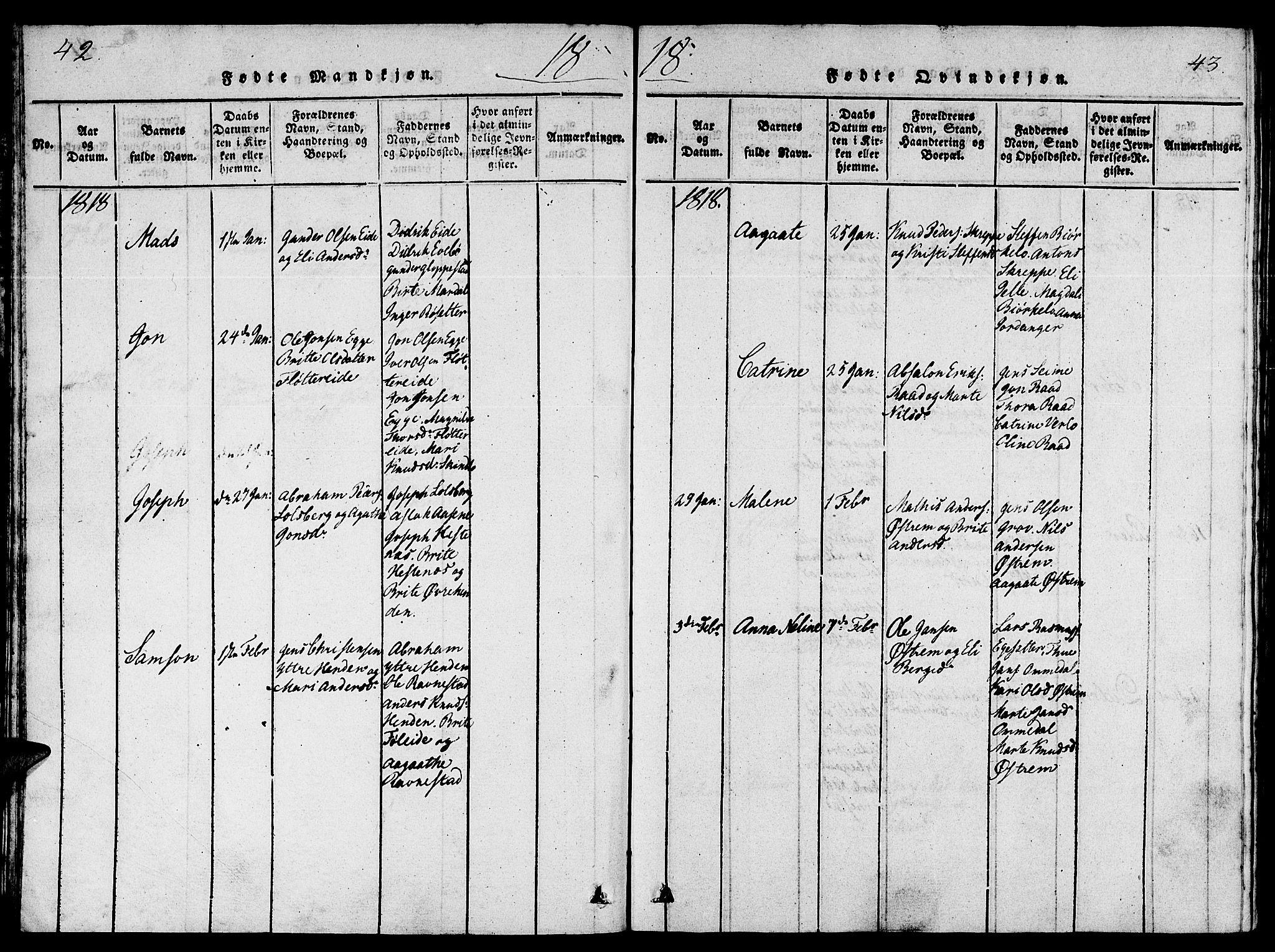 Gloppen sokneprestembete, SAB/A-80101/H/Hab/Haba/L0001: Parish register (copy) no. A 1, 1816-1827, p. 42-43