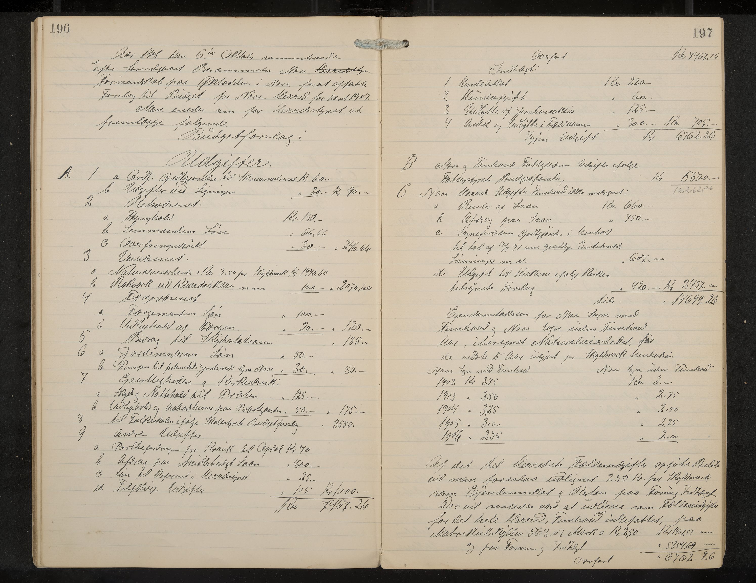 Nore formannskap og sentraladministrasjon, IKAK/0633021-2/A/Aa/L0001: Møtebok, 1901-1911, p. 196-197