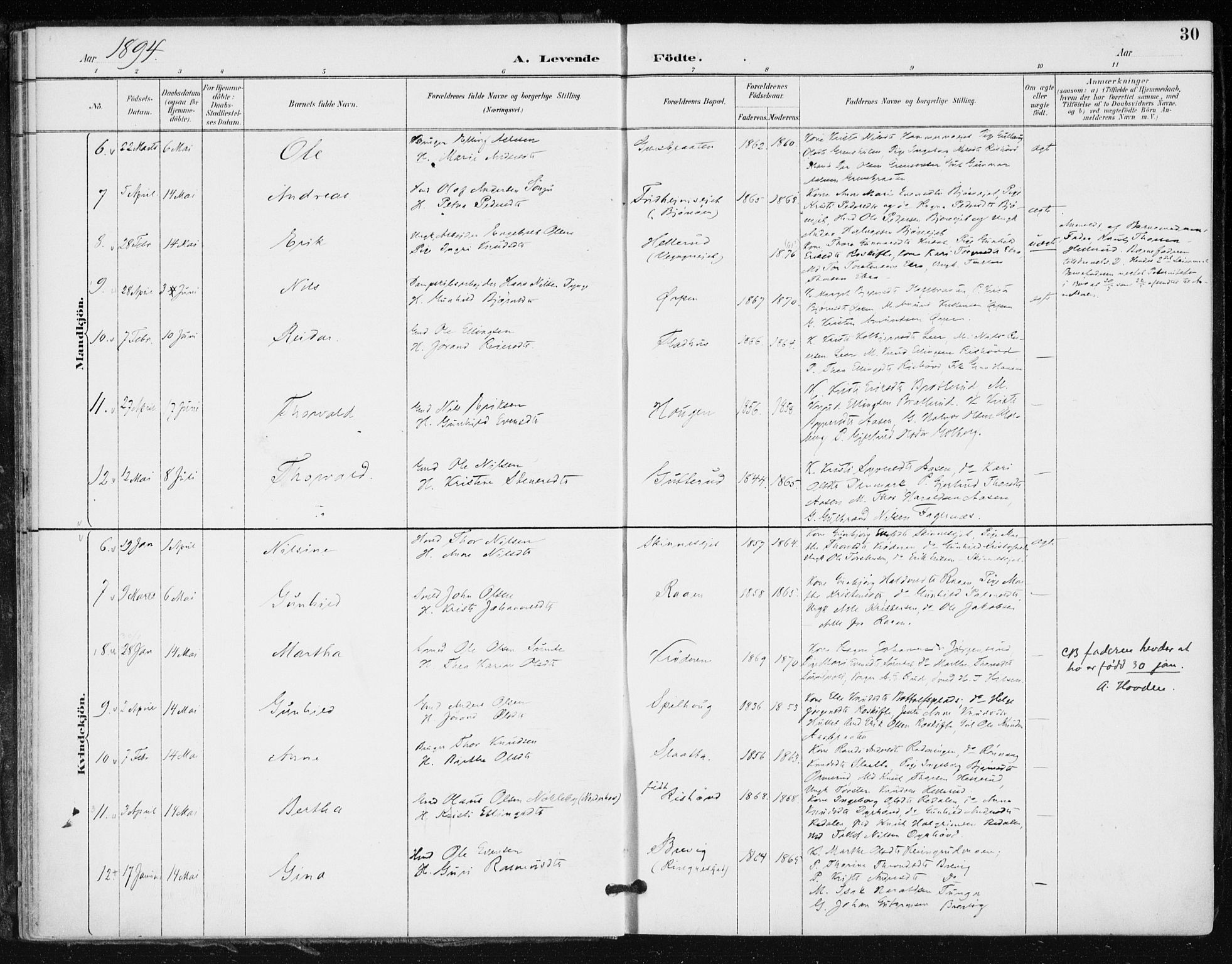 Krødsherad kirkebøker, AV/SAKO-A-19/F/Fa/L0006: Parish register (official) no. 6, 1889-1899, p. 30