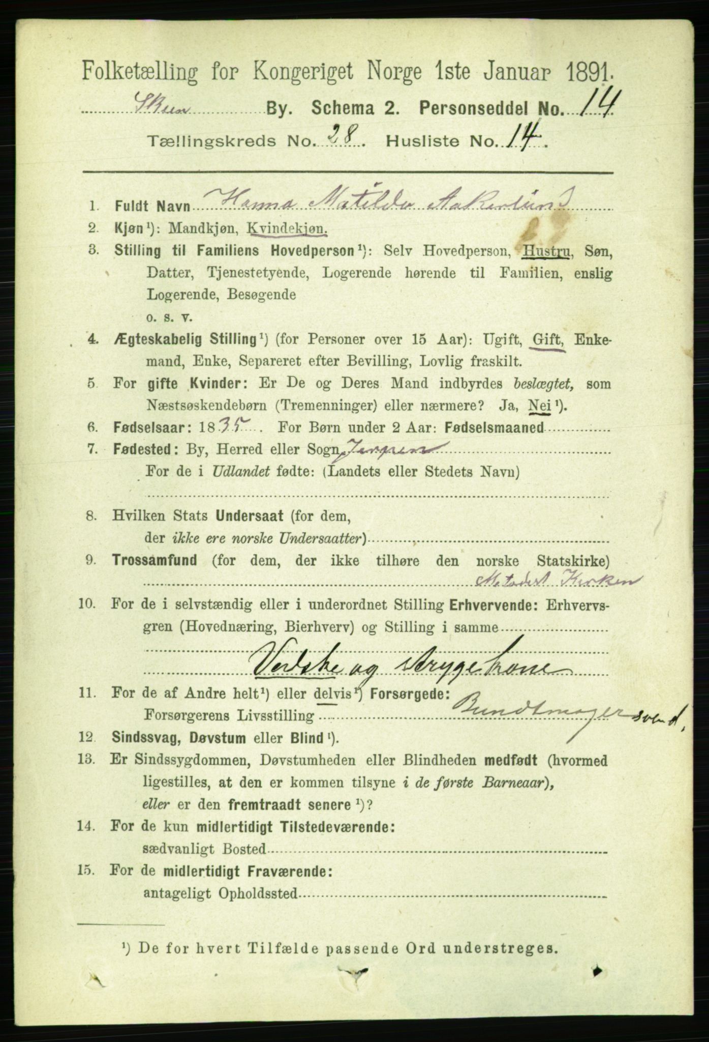 RA, 1891 census for 0806 Skien, 1891, p. 6689