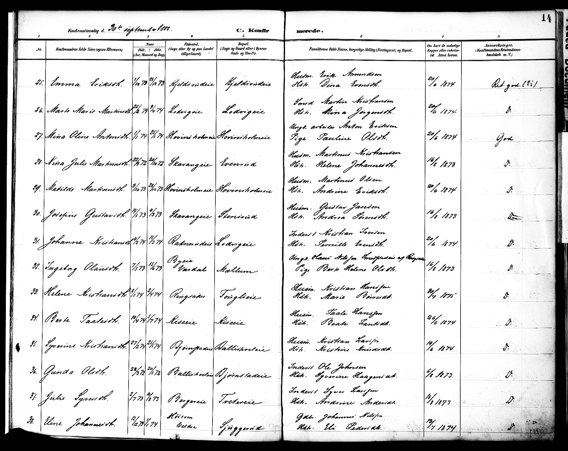 Nes prestekontor, Hedmark, AV/SAH-PREST-020/K/Ka/L0010: Parish register (official) no. 10, 1887-1905, p. 14