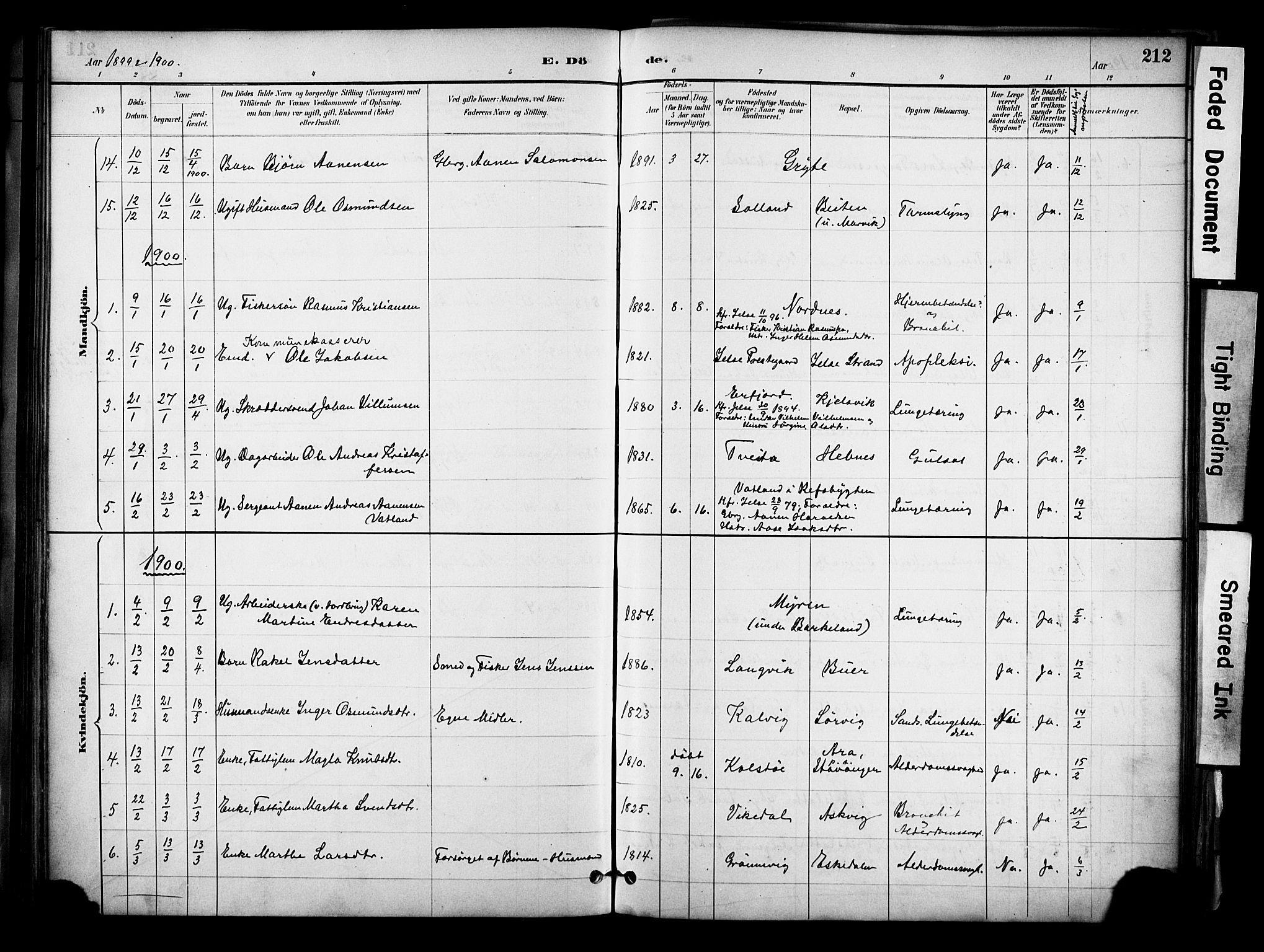 Jelsa sokneprestkontor, SAST/A-101842/01/IV: Parish register (official) no. A 10, 1884-1906, p. 212