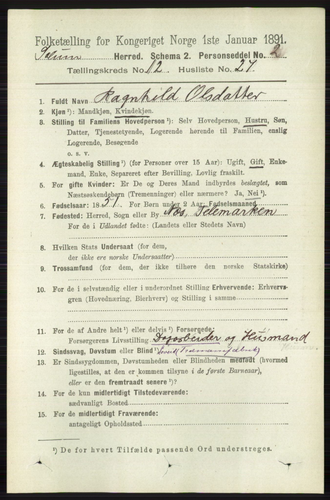 RA, 1891 census for 0818 Solum, 1891, p. 5739