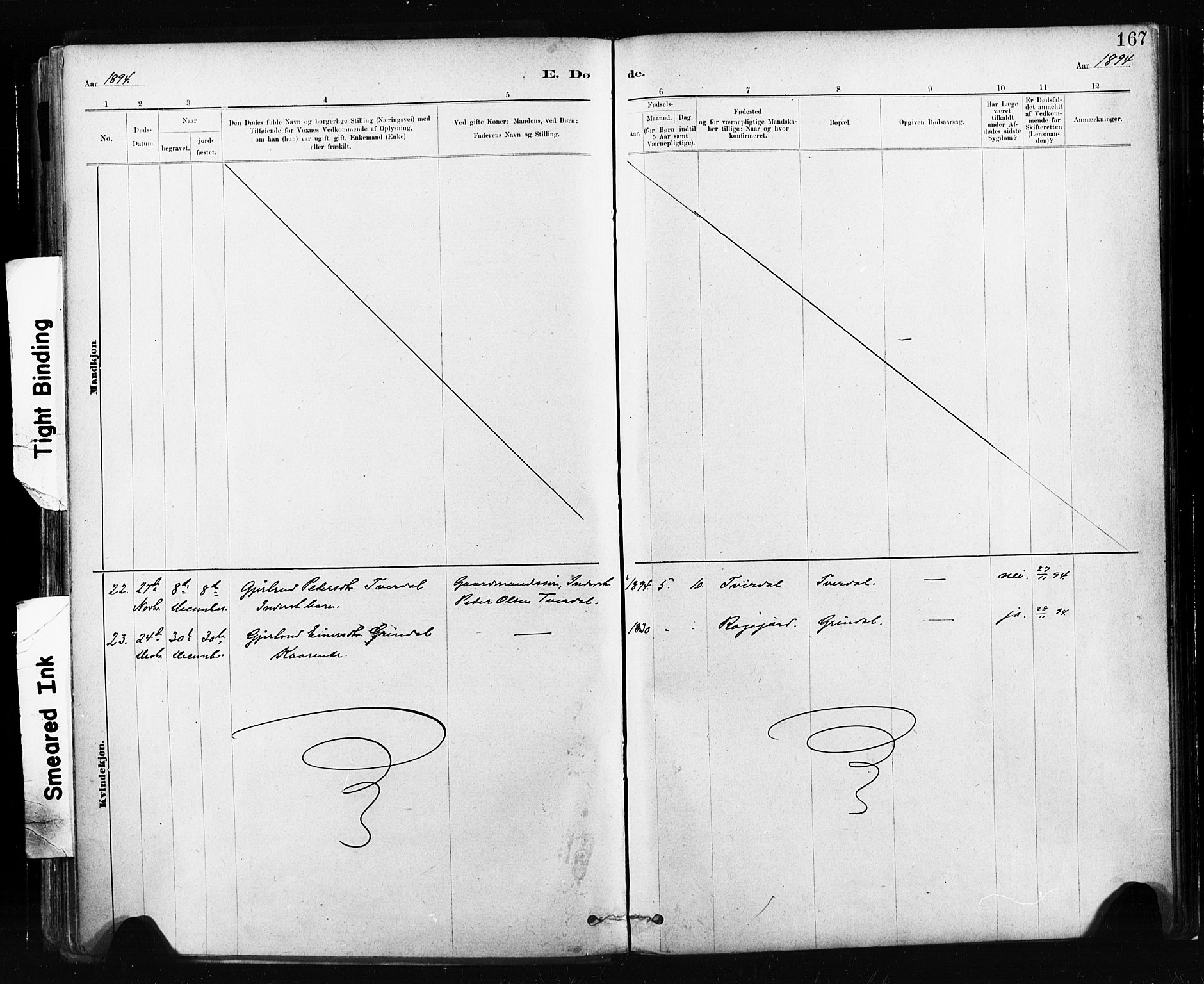 Ministerialprotokoller, klokkerbøker og fødselsregistre - Sør-Trøndelag, SAT/A-1456/674/L0871: Parish register (official) no. 674A03, 1880-1896, p. 167