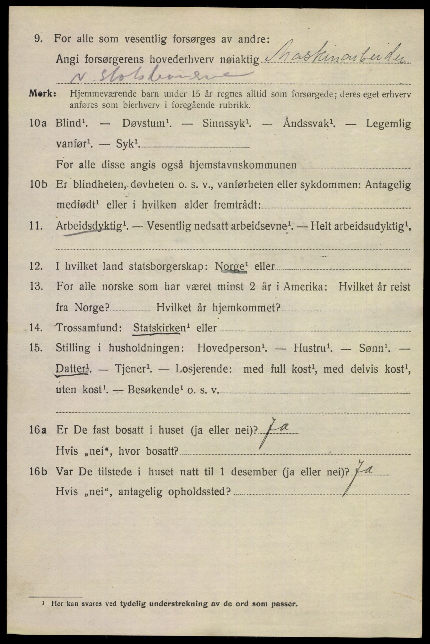 SAKO, 1920 census for Skien, 1920, p. 37321