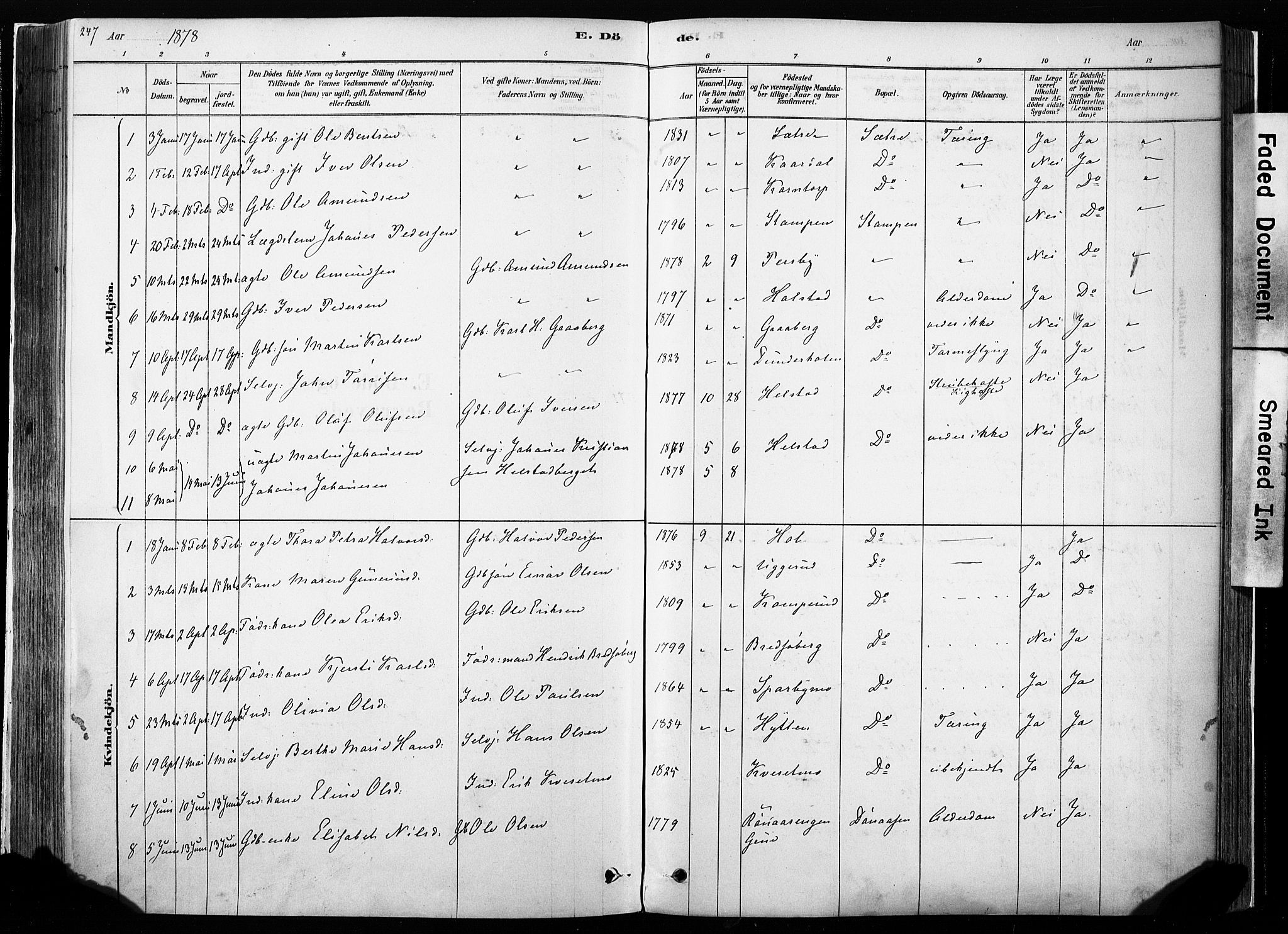 Hof prestekontor, SAH/PREST-038/H/Ha/Haa/L0010: Parish register (official) no. 10, 1878-1909, p. 247