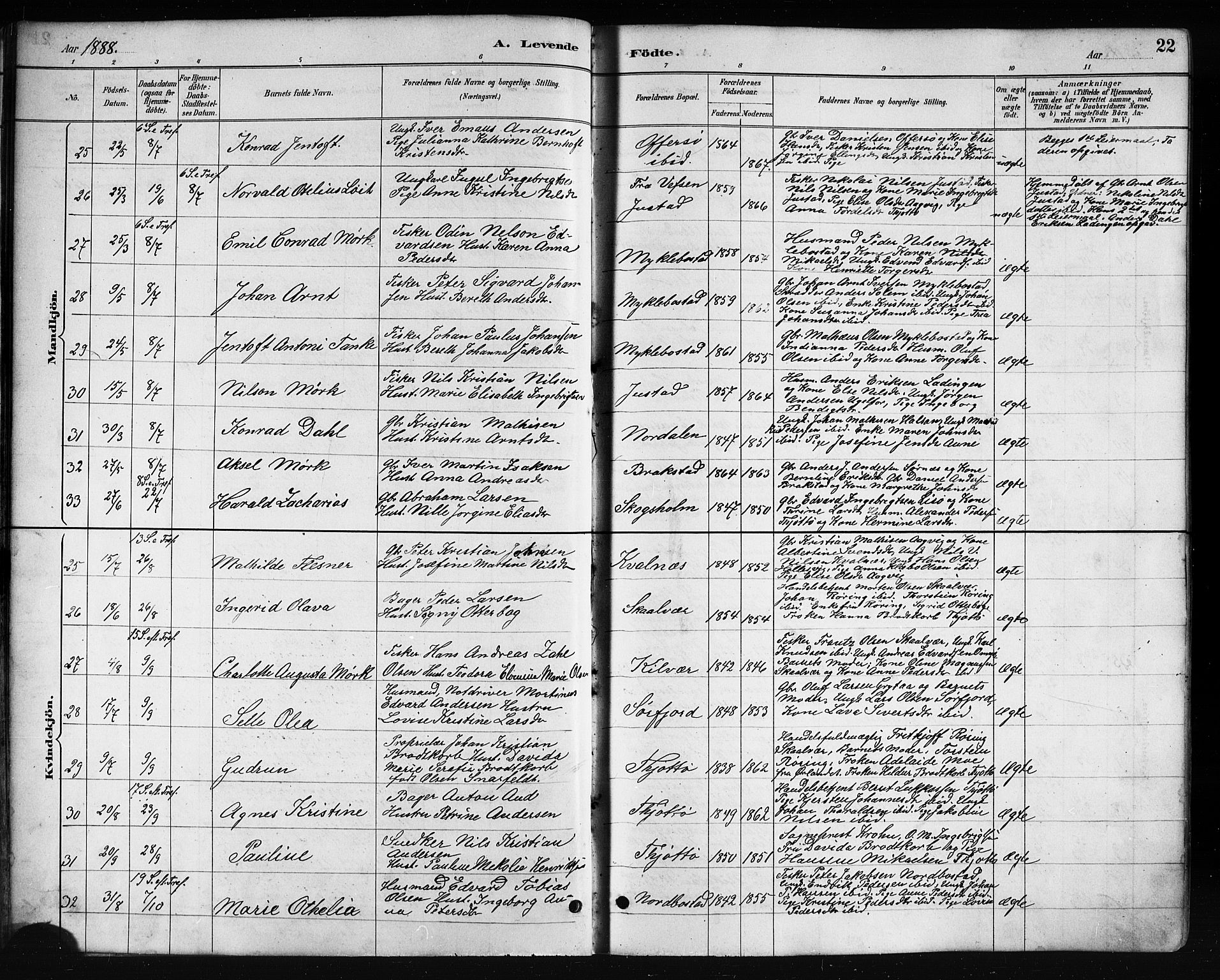 Ministerialprotokoller, klokkerbøker og fødselsregistre - Nordland, AV/SAT-A-1459/817/L0268: Parish register (copy) no. 817C03, 1884-1920, p. 22