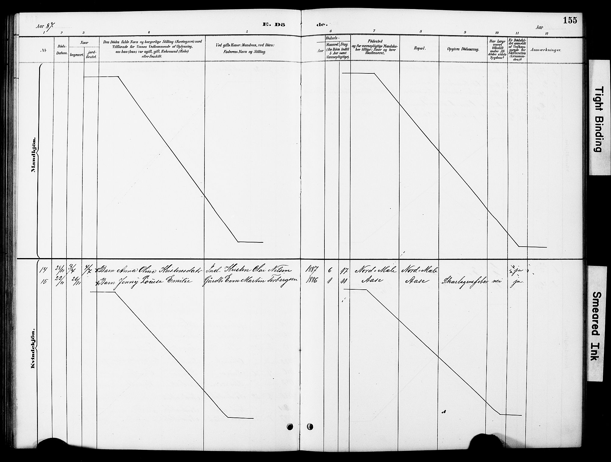 Ministerialprotokoller, klokkerbøker og fødselsregistre - Nordland, SAT/A-1459/897/L1413: Parish register (copy) no. 897C03, 1887-1903, p. 155