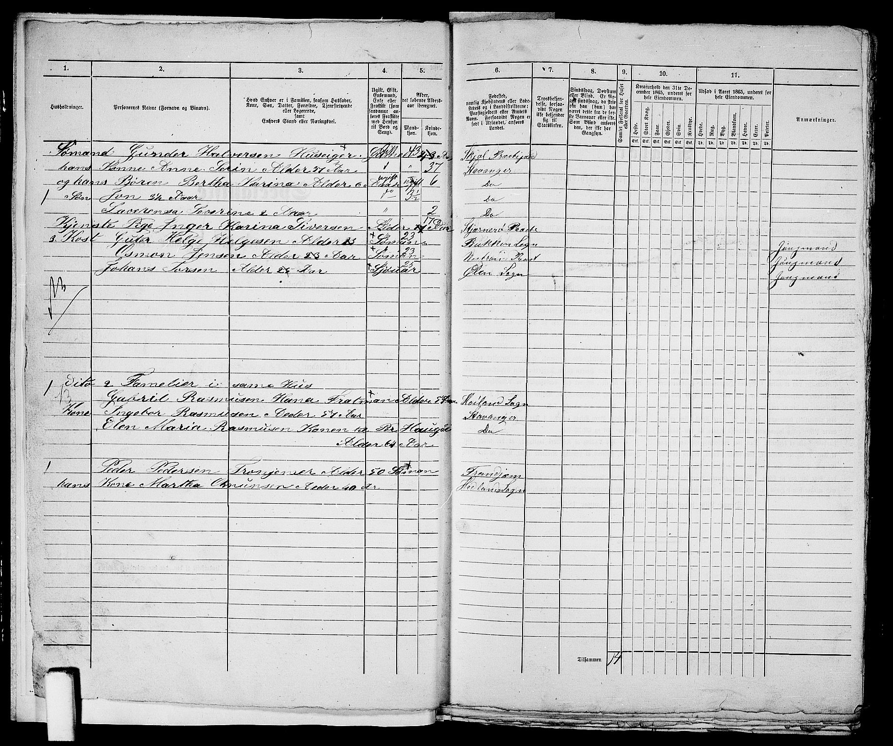 RA, 1865 census for Stavanger, 1865, p. 2531