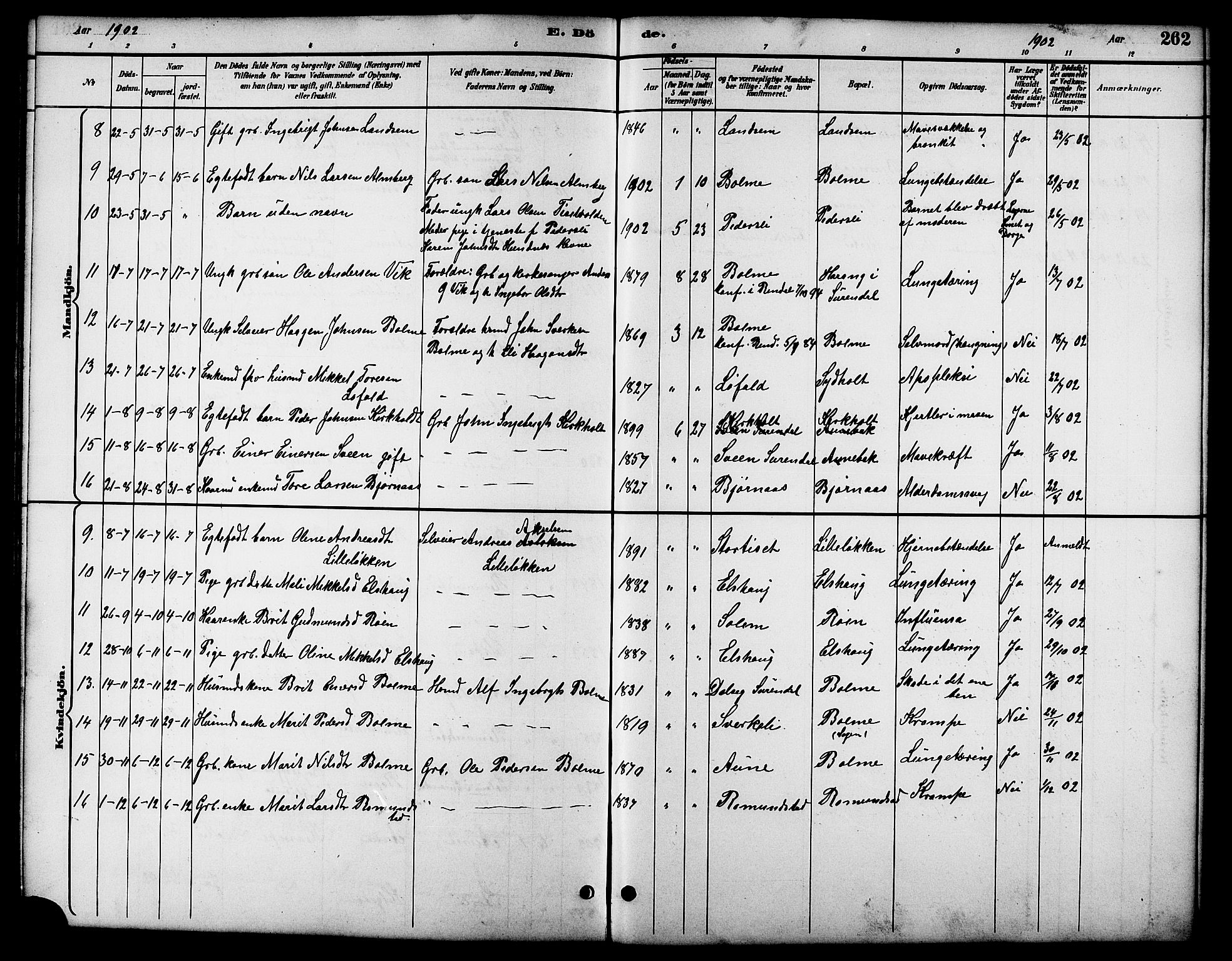 Ministerialprotokoller, klokkerbøker og fødselsregistre - Møre og Romsdal, AV/SAT-A-1454/598/L1078: Parish register (copy) no. 598C03, 1892-1909, p. 262