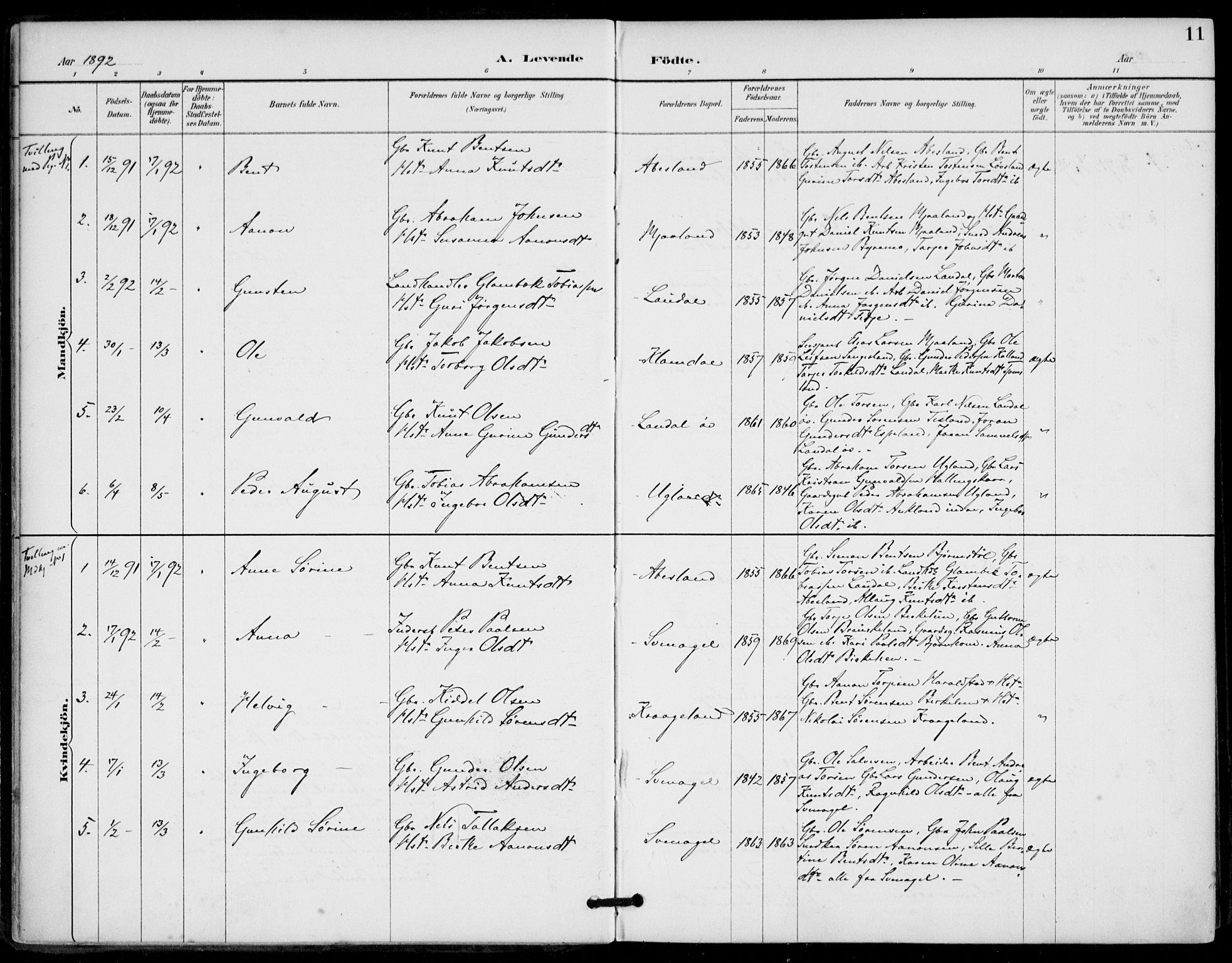 Holum sokneprestkontor, AV/SAK-1111-0022/F/Fa/Fab/L0007: Parish register (official) no. A 7, 1887-1912, p. 11