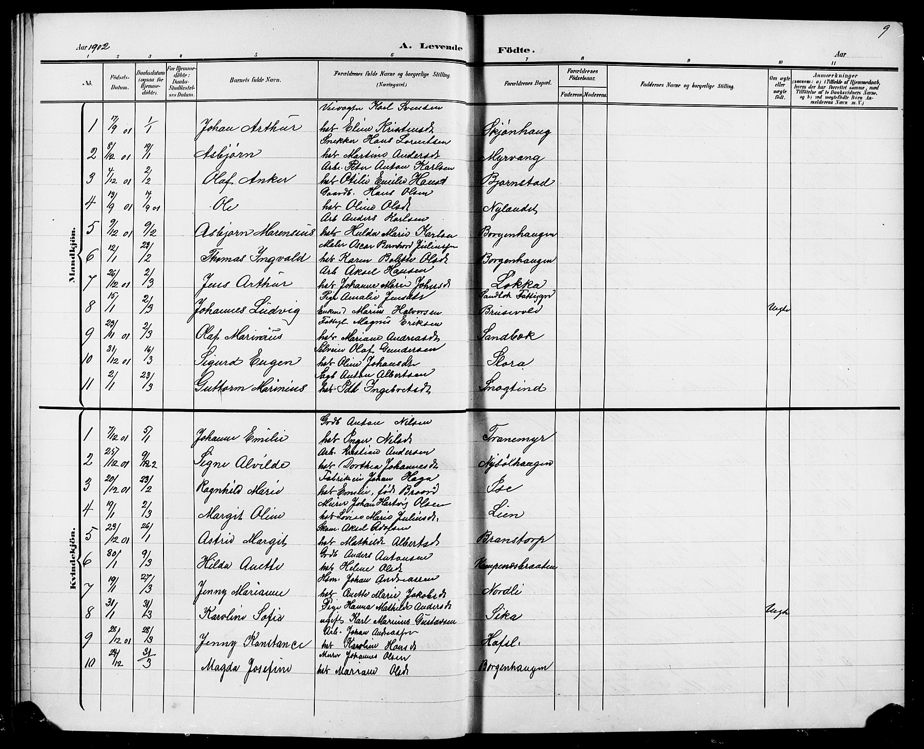 Skjeberg prestekontor Kirkebøker, AV/SAO-A-10923/G/Ga/L0002: Parish register (copy) no. I 2, 1901-1924, p. 9