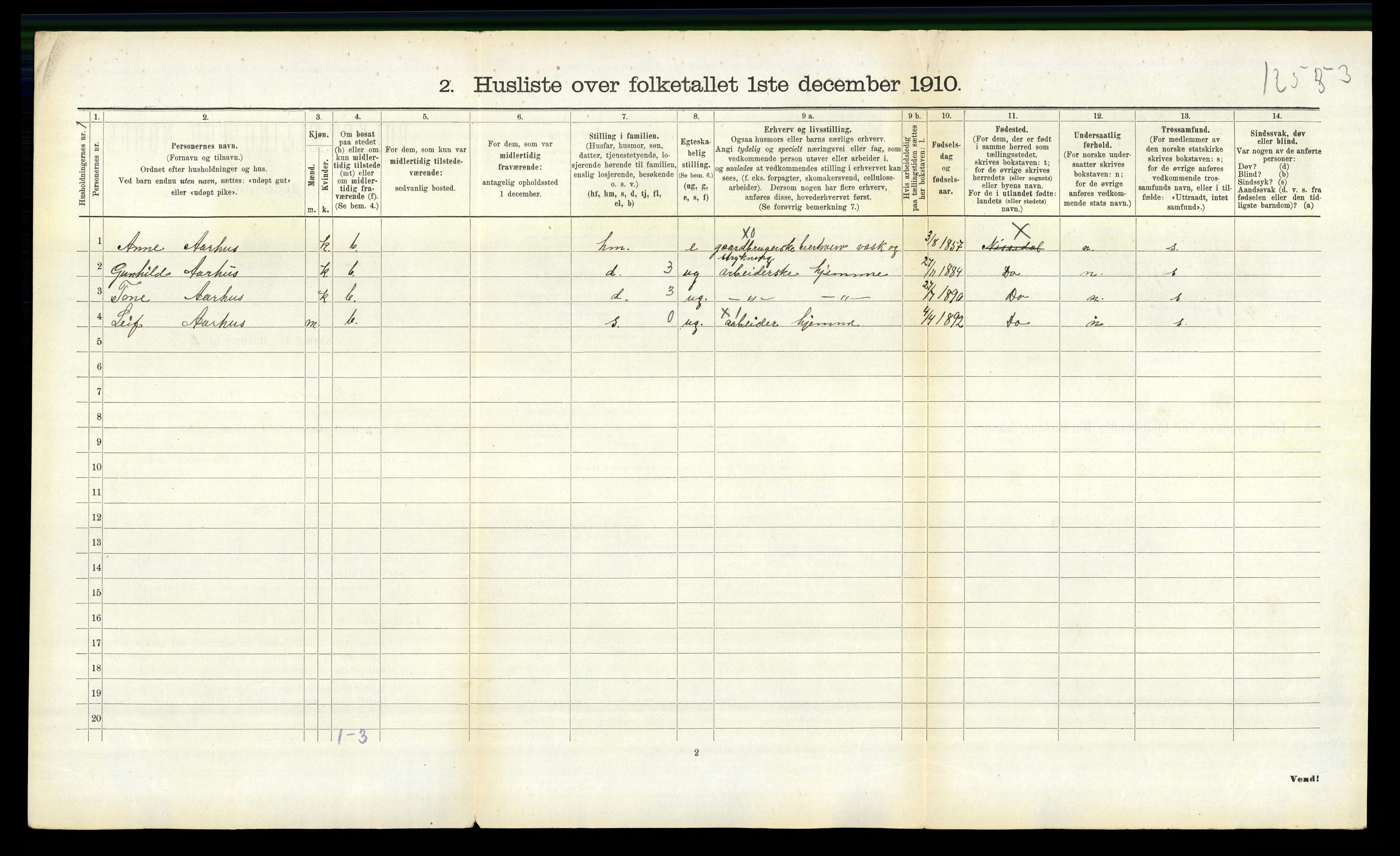 RA, 1910 census for Nissedal, 1910, p. 207