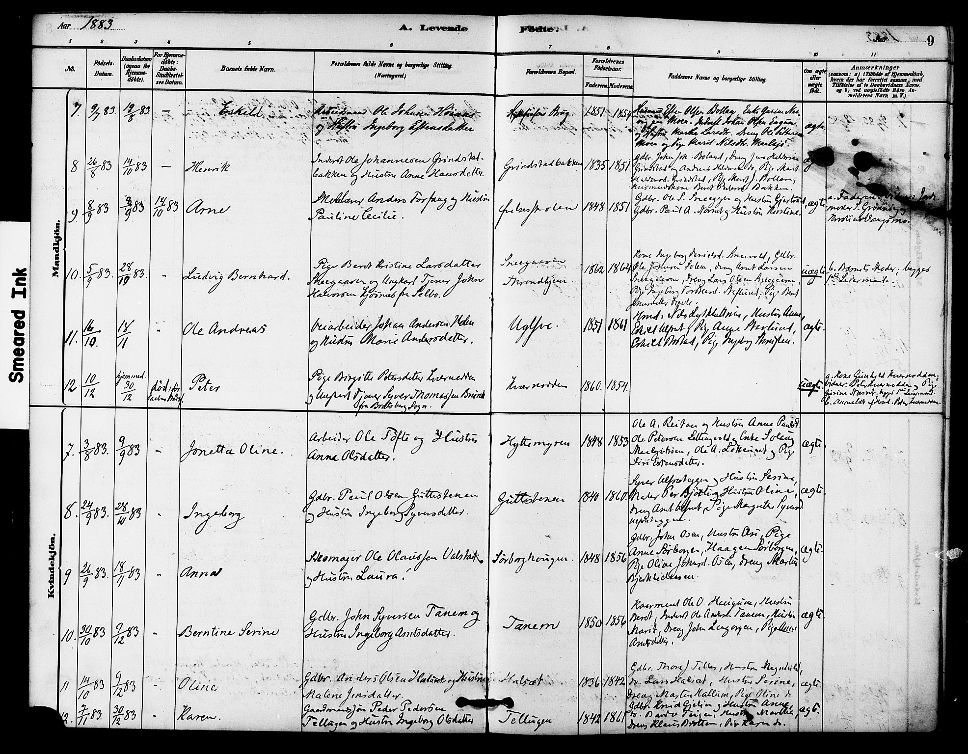 Ministerialprotokoller, klokkerbøker og fødselsregistre - Sør-Trøndelag, AV/SAT-A-1456/618/L0444: Parish register (official) no. 618A07, 1880-1898, p. 9