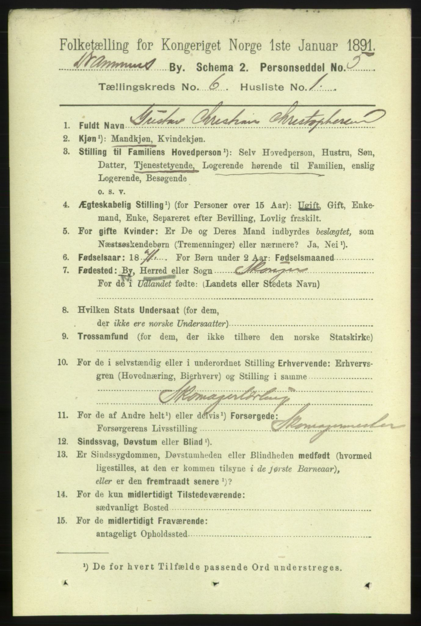 RA, 1891 census for 0602 Drammen, 1891, p. 6096