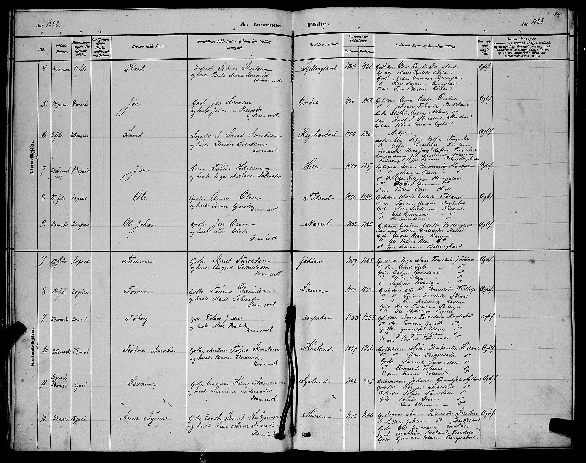 Hægebostad sokneprestkontor, SAK/1111-0024/F/Fb/Fba/L0003: Parish register (copy) no. B 3, 1883-1896, p. 24