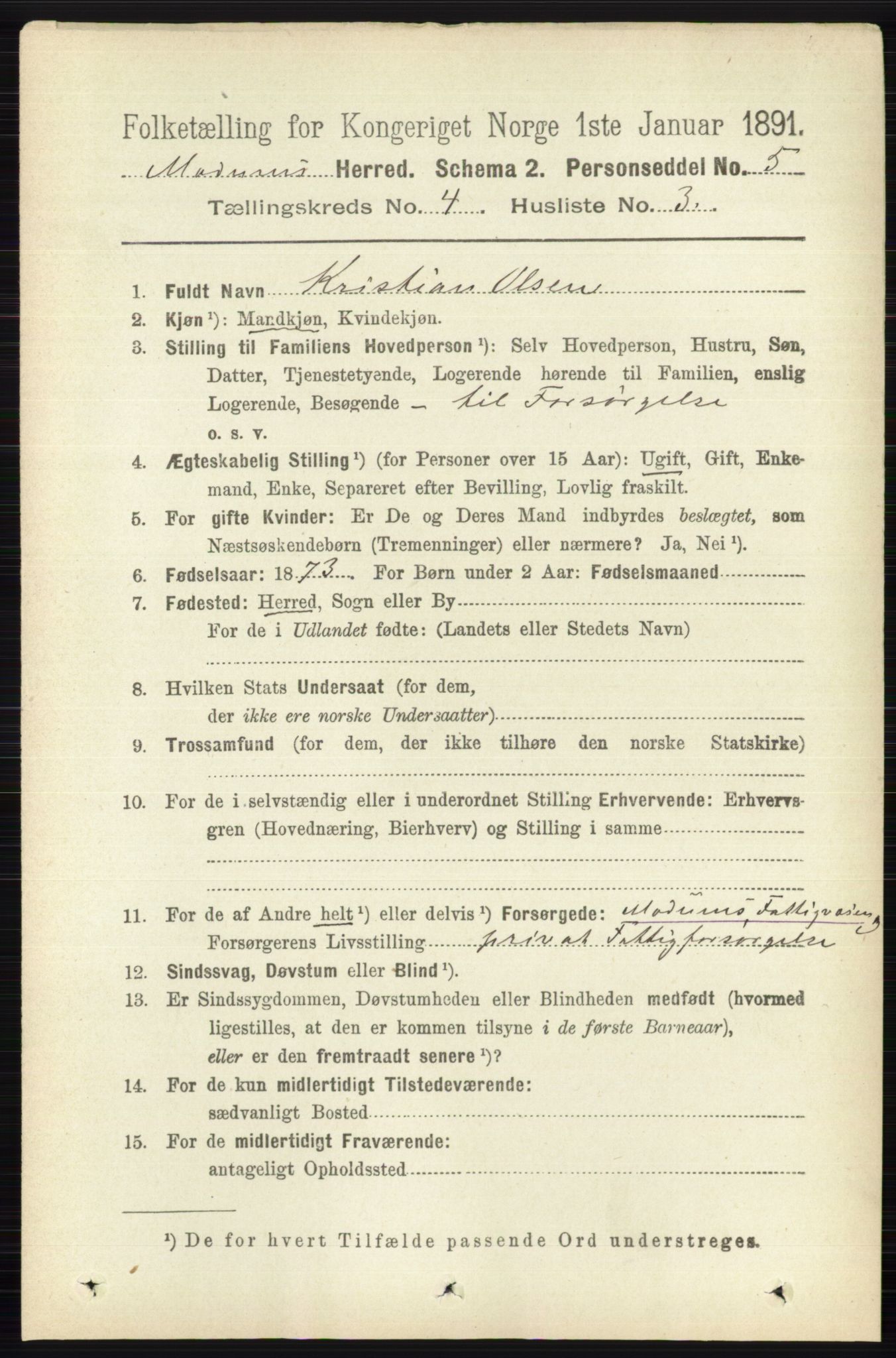 RA, 1891 census for 0623 Modum, 1891, p. 1005