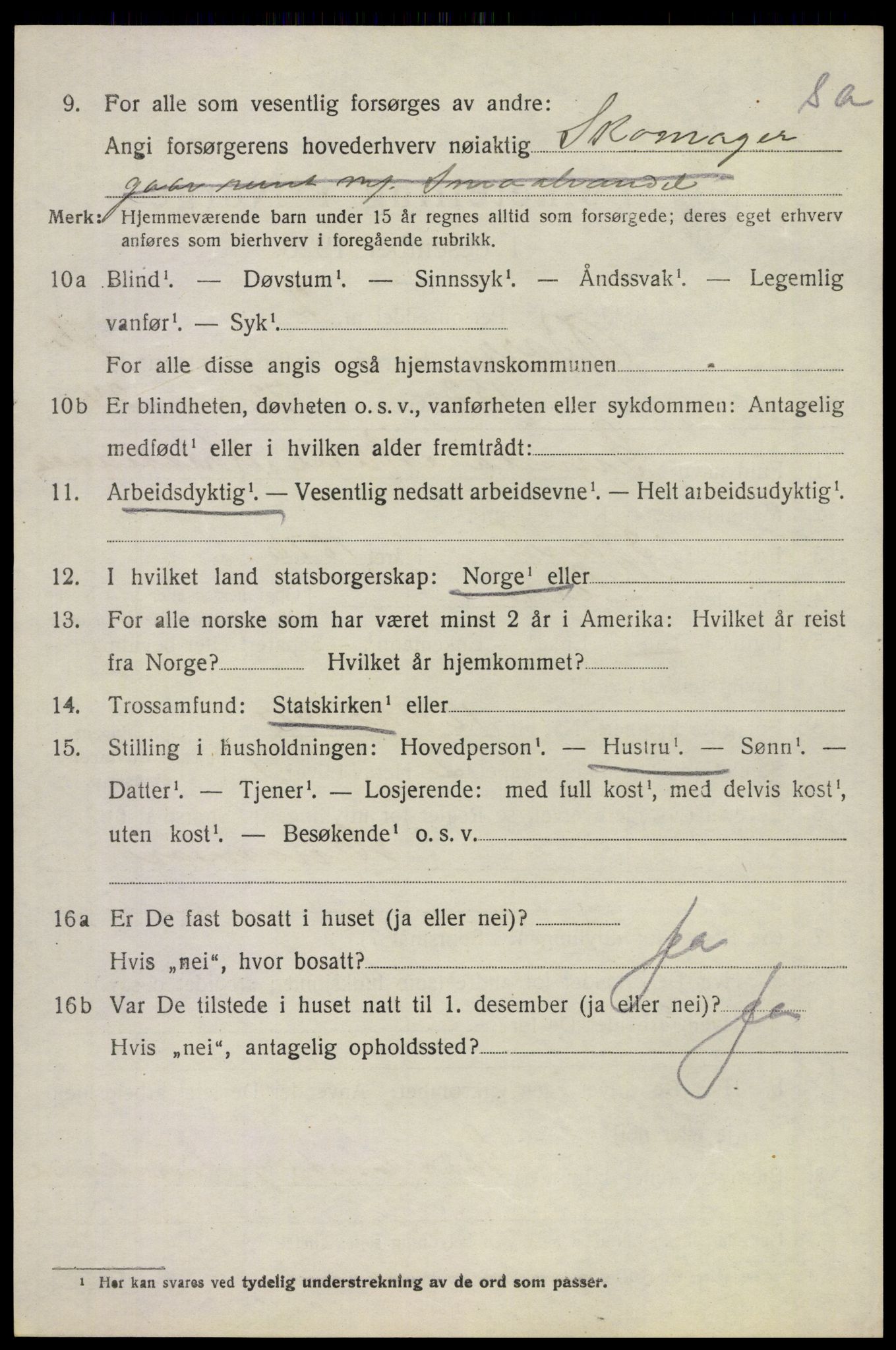 SAKO, 1920 census for Borre, 1920, p. 4173