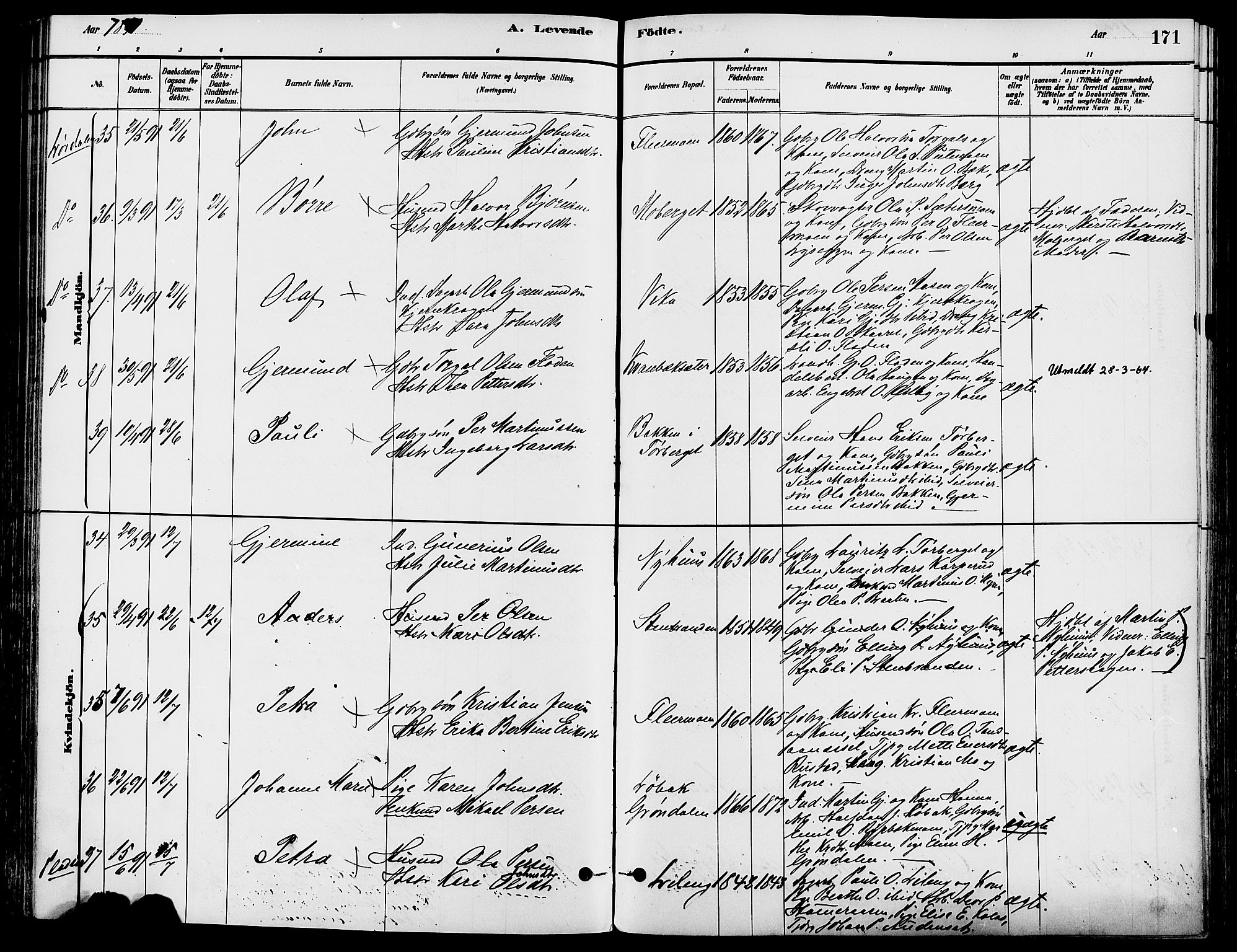 Trysil prestekontor, SAH/PREST-046/H/Ha/Haa/L0008: Parish register (official) no. 8, 1881-1897, p. 171