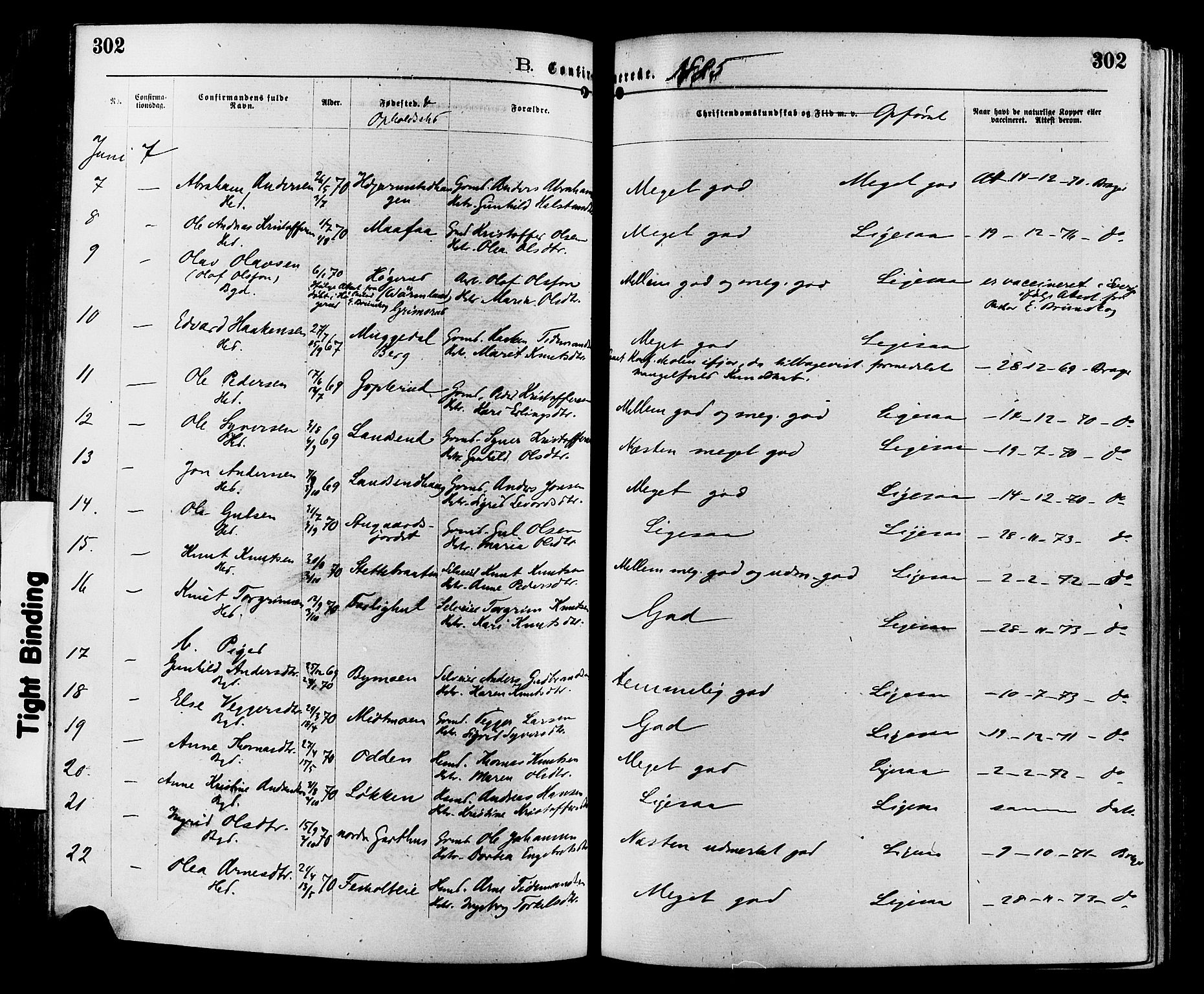 Sør-Aurdal prestekontor, SAH/PREST-128/H/Ha/Haa/L0008: Parish register (official) no. 8, 1877-1885, p. 302