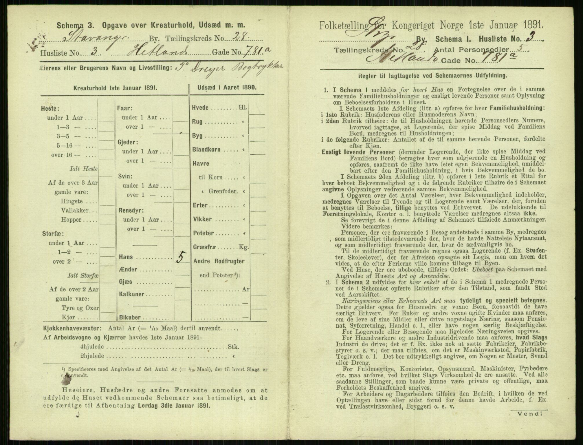 RA, 1891 census for 1103 Stavanger, 1891, p. 4985