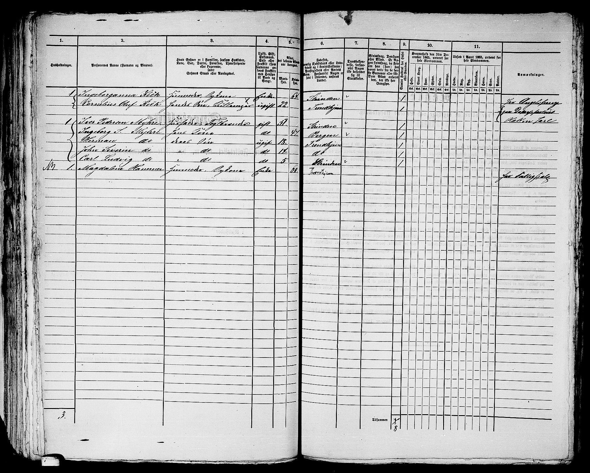 RA, 1865 census for Trondheim, 1865, p. 2756