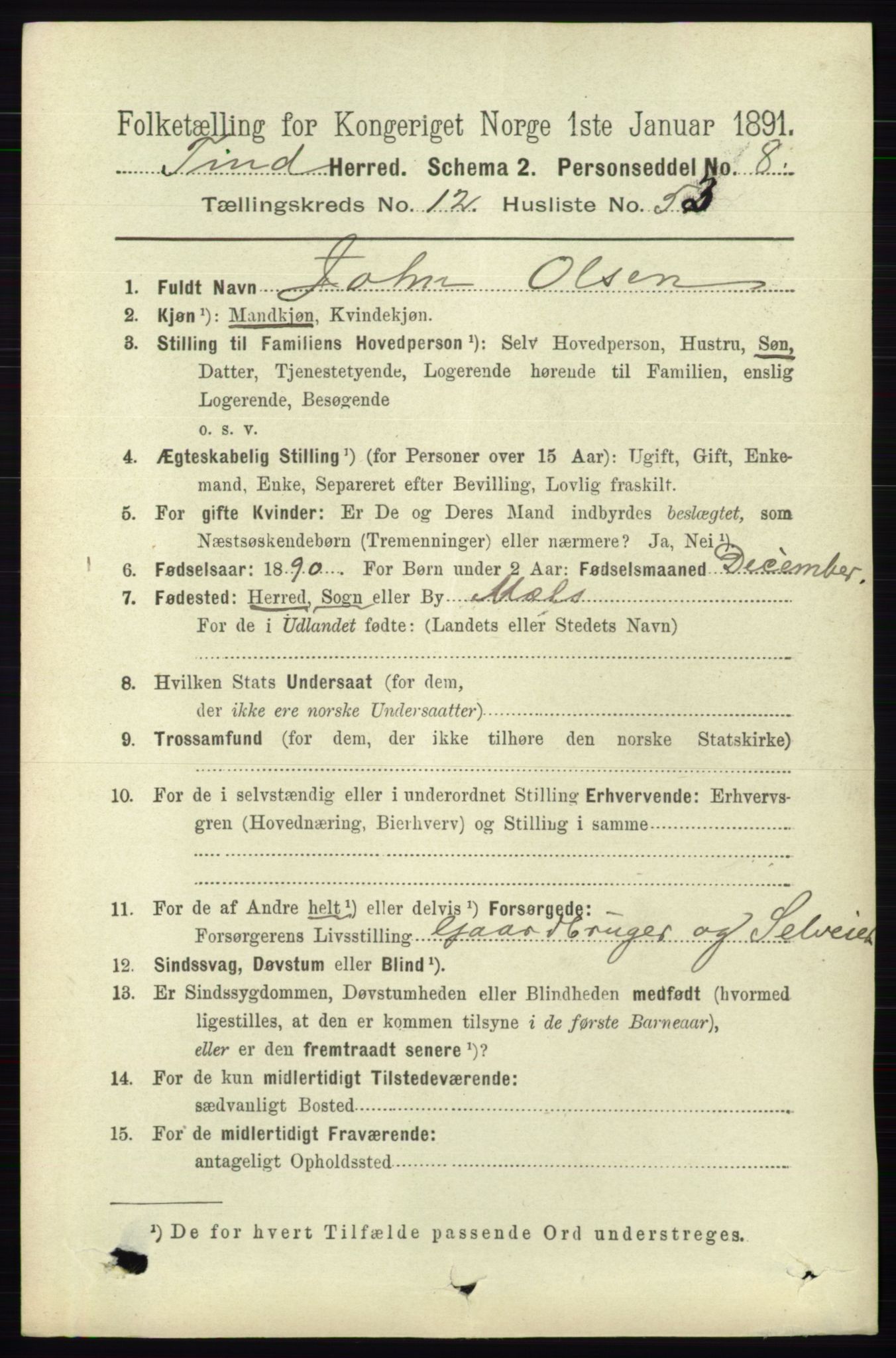 RA, 1891 census for 0826 Tinn, 1891, p. 2625