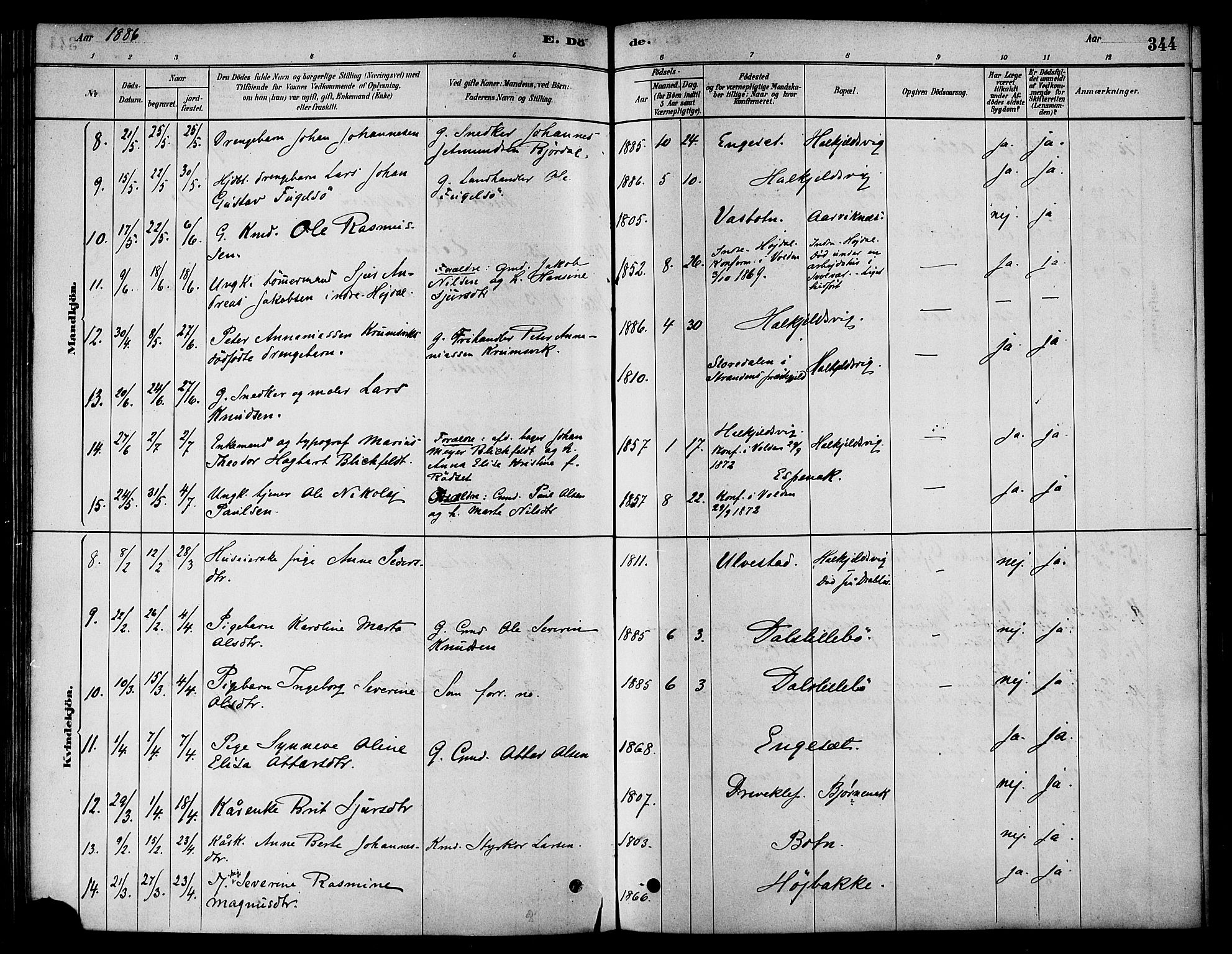 Ministerialprotokoller, klokkerbøker og fødselsregistre - Møre og Romsdal, AV/SAT-A-1454/511/L0141: Parish register (official) no. 511A08, 1878-1890, p. 344