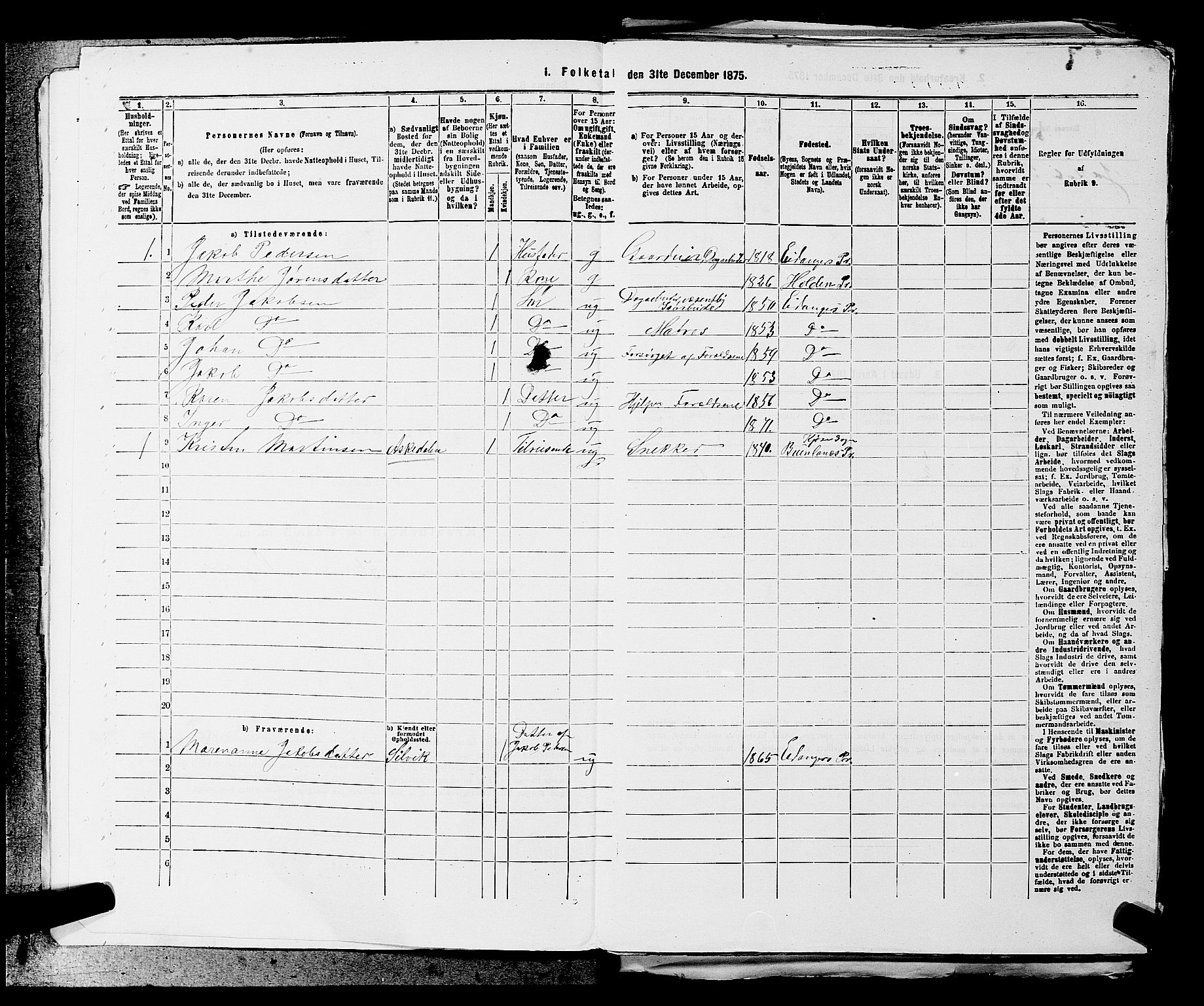 SAKO, 1875 census for 0813P Eidanger, 1875, p. 917