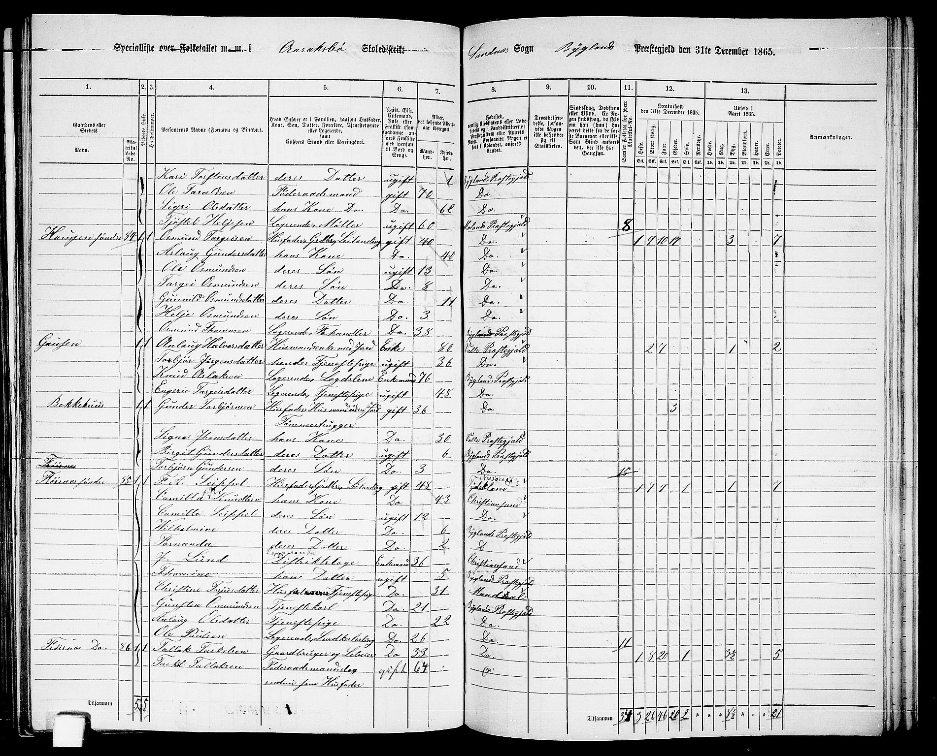 RA, 1865 census for Bygland, 1865, p. 41