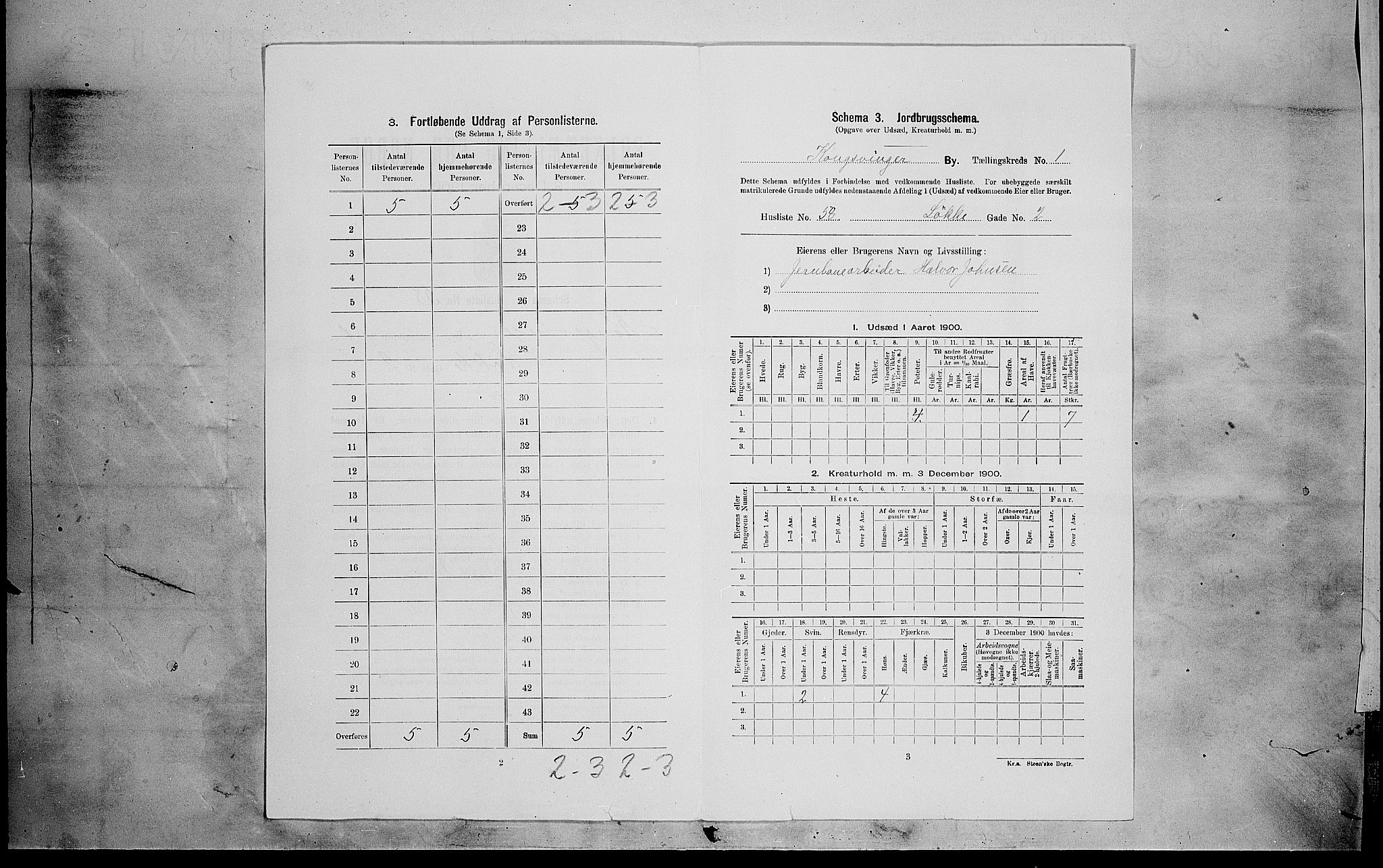 SAH, 1900 census for Kongsvinger, 1900, p. 225