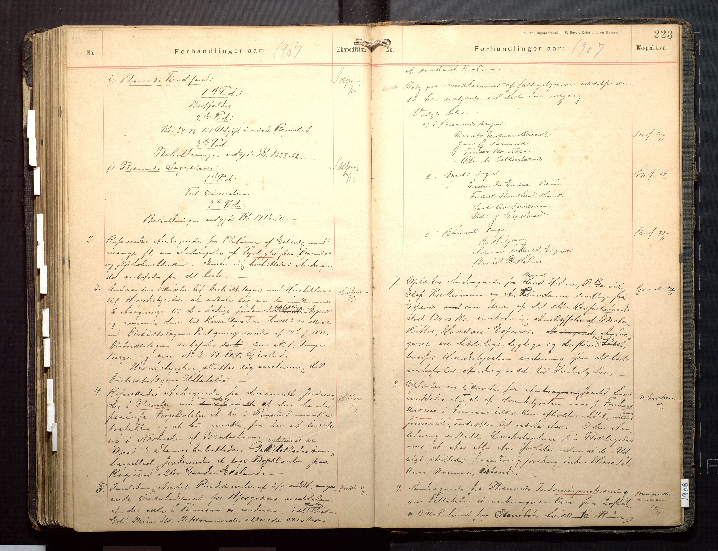 Finnaas kommune. Formannskapet, IKAH/1218a-021/A/Aa/L0003: Møtebok for formannskap, heradsstyre og soknestyre, 1896-1908, p. 223