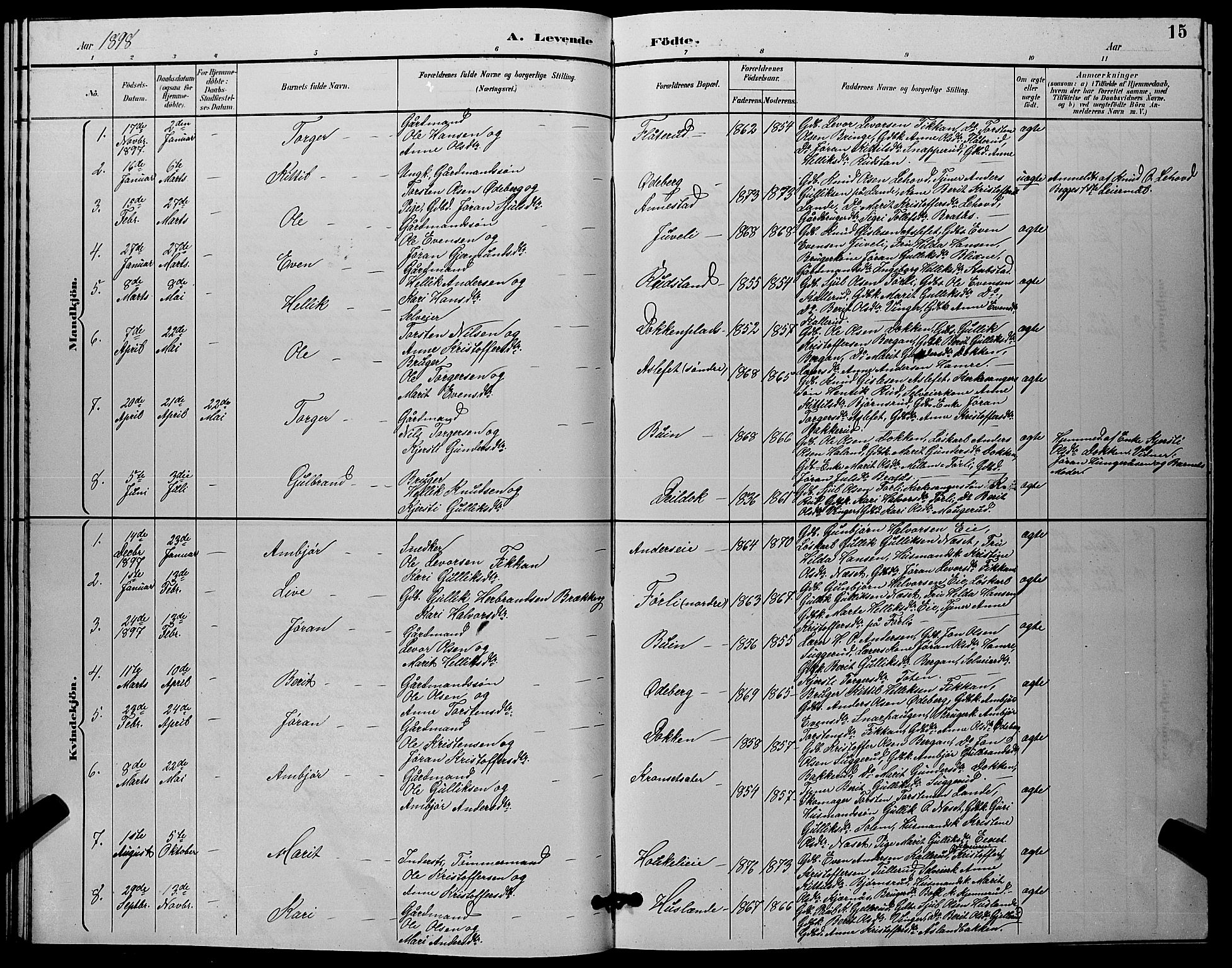 Flesberg kirkebøker, SAKO/A-18/G/Ga/L0004: Parish register (copy) no. I 4 /1, 1890-1898, p. 15