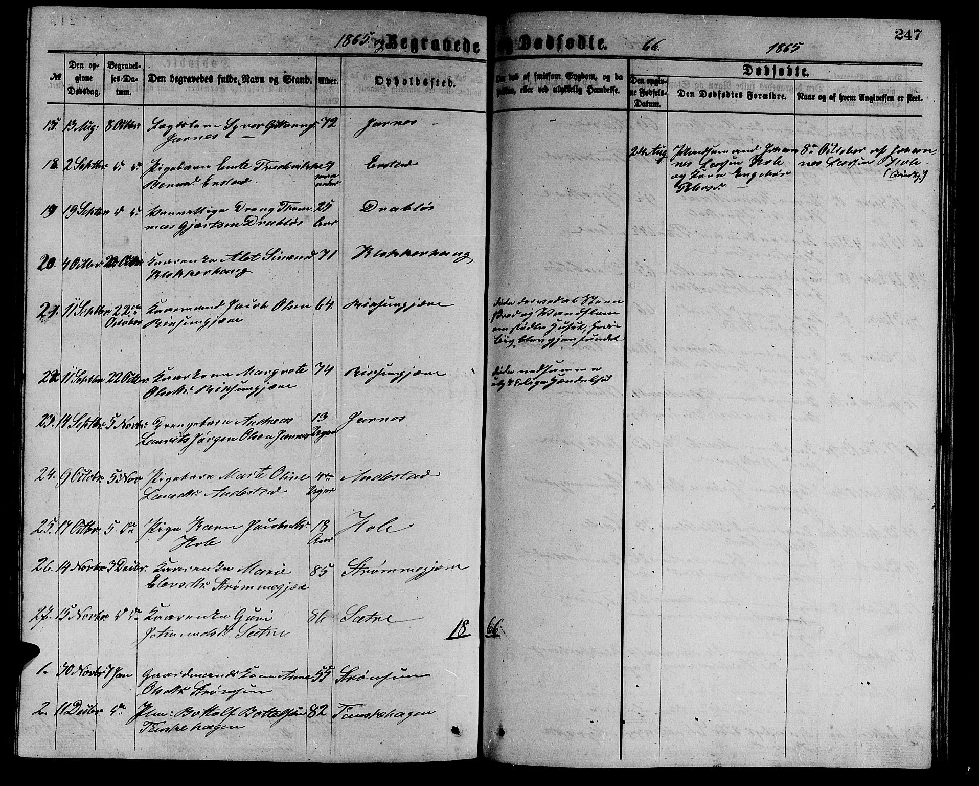 Ministerialprotokoller, klokkerbøker og fødselsregistre - Møre og Romsdal, AV/SAT-A-1454/523/L0338: Parish register (copy) no. 523C01, 1865-1877, p. 247