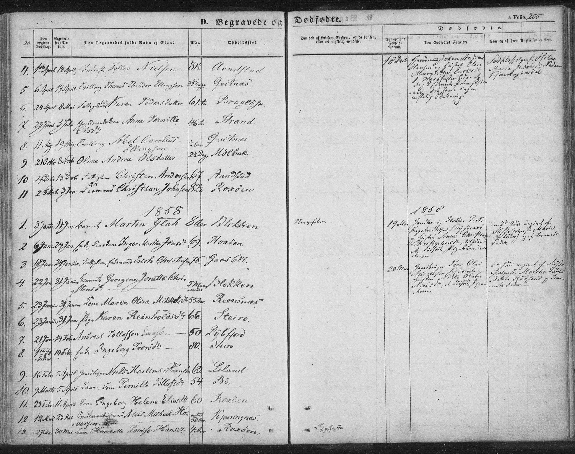 Ministerialprotokoller, klokkerbøker og fødselsregistre - Nordland, AV/SAT-A-1459/895/L1369: Parish register (official) no. 895A04, 1852-1872, p. 205