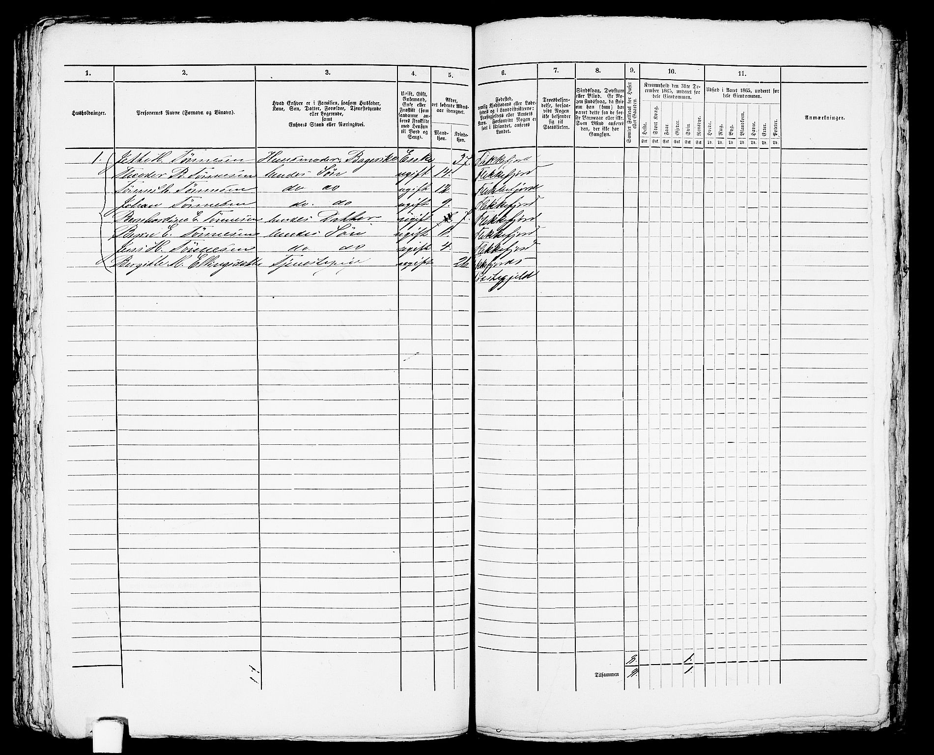 RA, 1865 census for Flekkefjord/Flekkefjord, 1865, p. 413